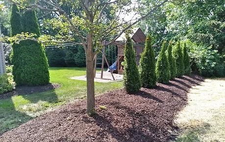 Landscaped yard with trimmed shrubs, a young tree, and a path leading to a small garden shed