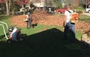 People raking leaves in a sunny yard with a large leaf pile near a tree.