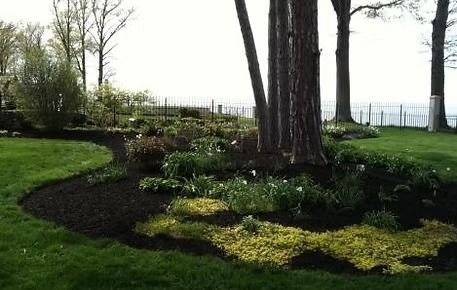 Landscape garden with curved flower beds, tall trees, and a grassy lawn beside water.