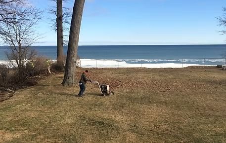 Person and dog on a grassy bluff overlooking a calm ocean under a clear blue sky.