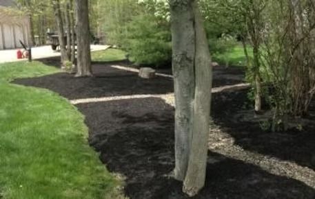 Landscaped garden with black mulch beds, green grass, and trees along a curved path