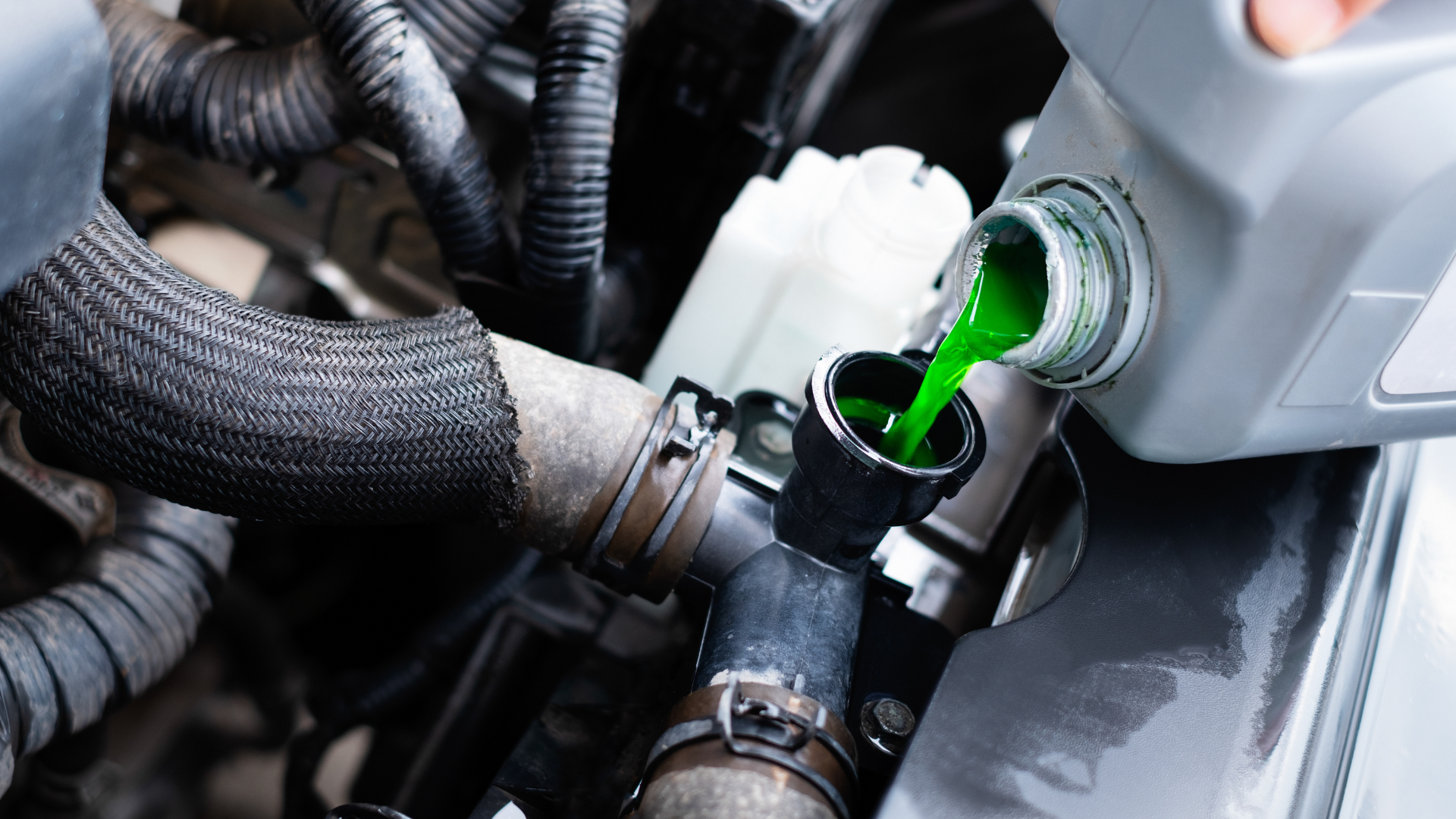 A person is pouring coolant into a radiator of a car.