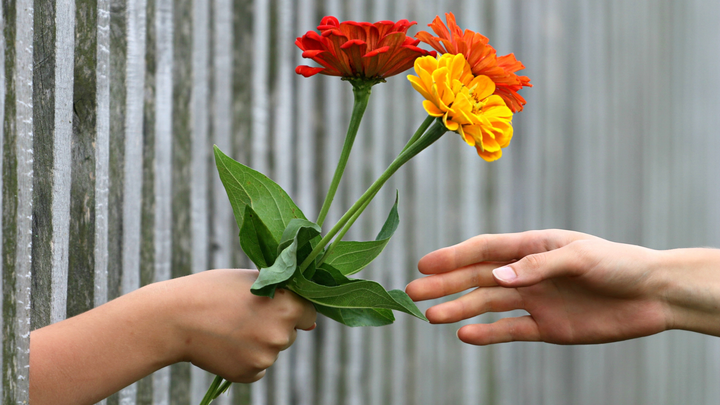 A person is handing a bouquet of flowers to another person.