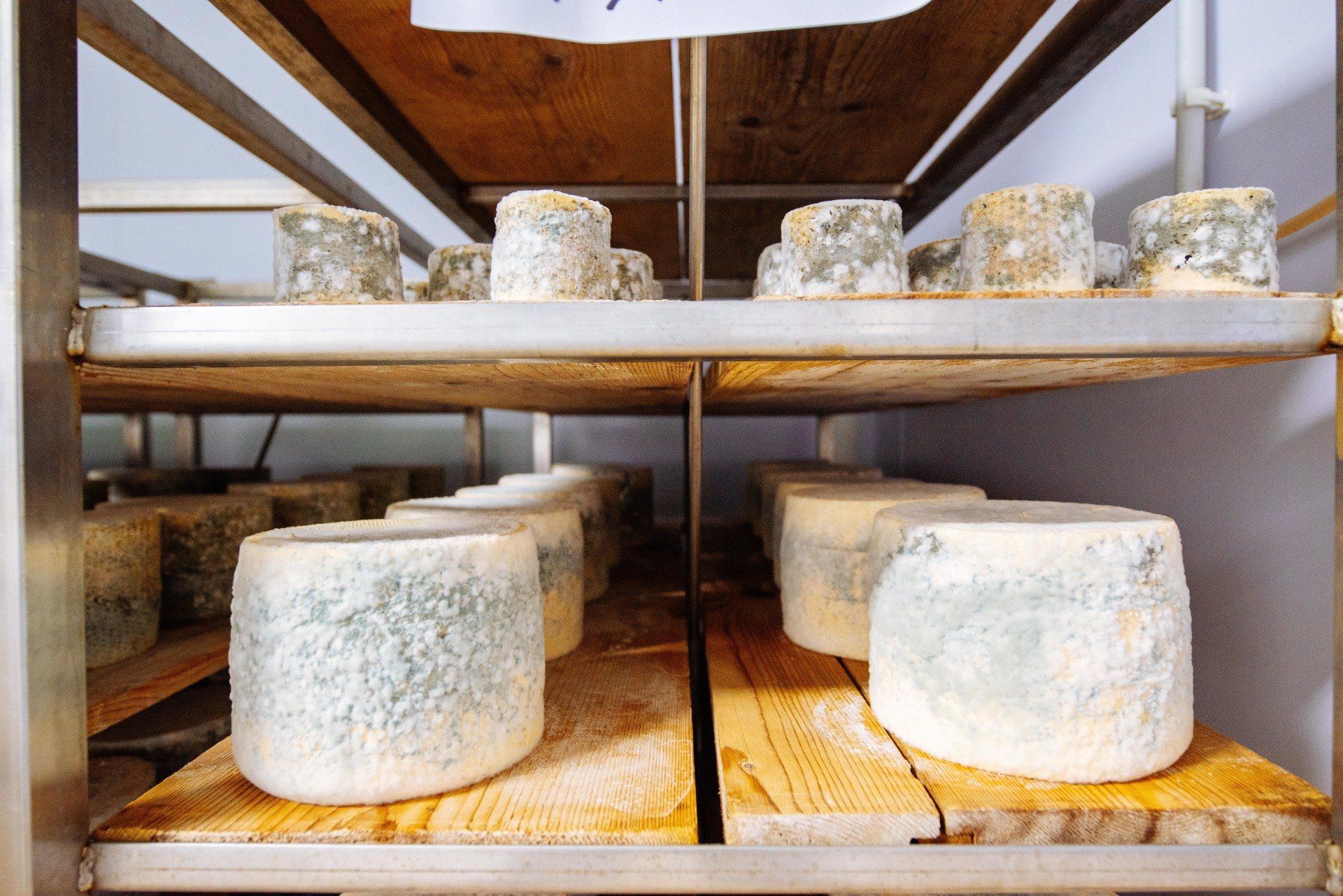 Uno scaffale pieno di formaggi di vario tipo disposti su ripiani di legno.