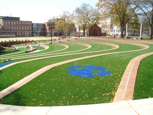 School Lawn With Blue Paw Print — Matthews, NC — Artificial Turf Products
