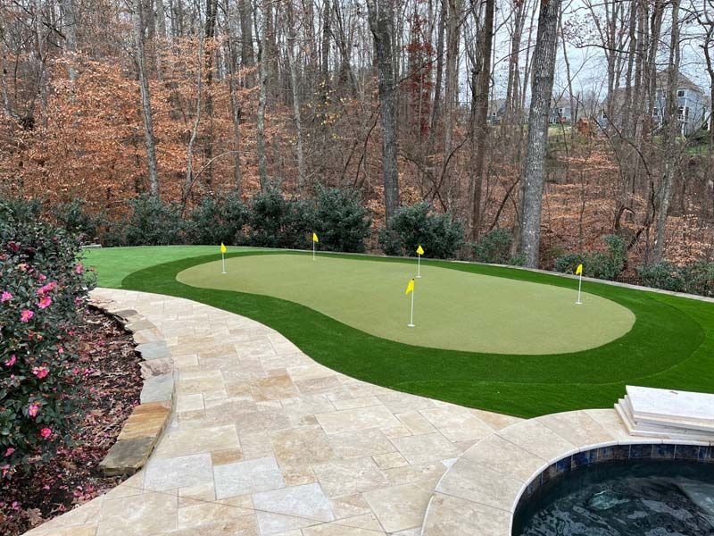 There is a putting green in the middle of the woods.