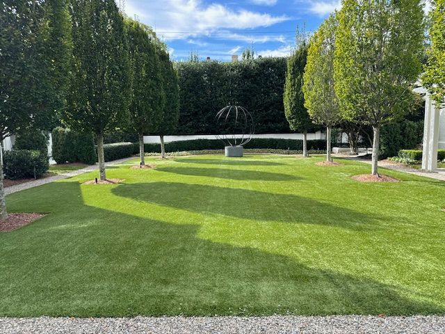 A large lush green lawn surrounded by trees and bushes on a sunny day.