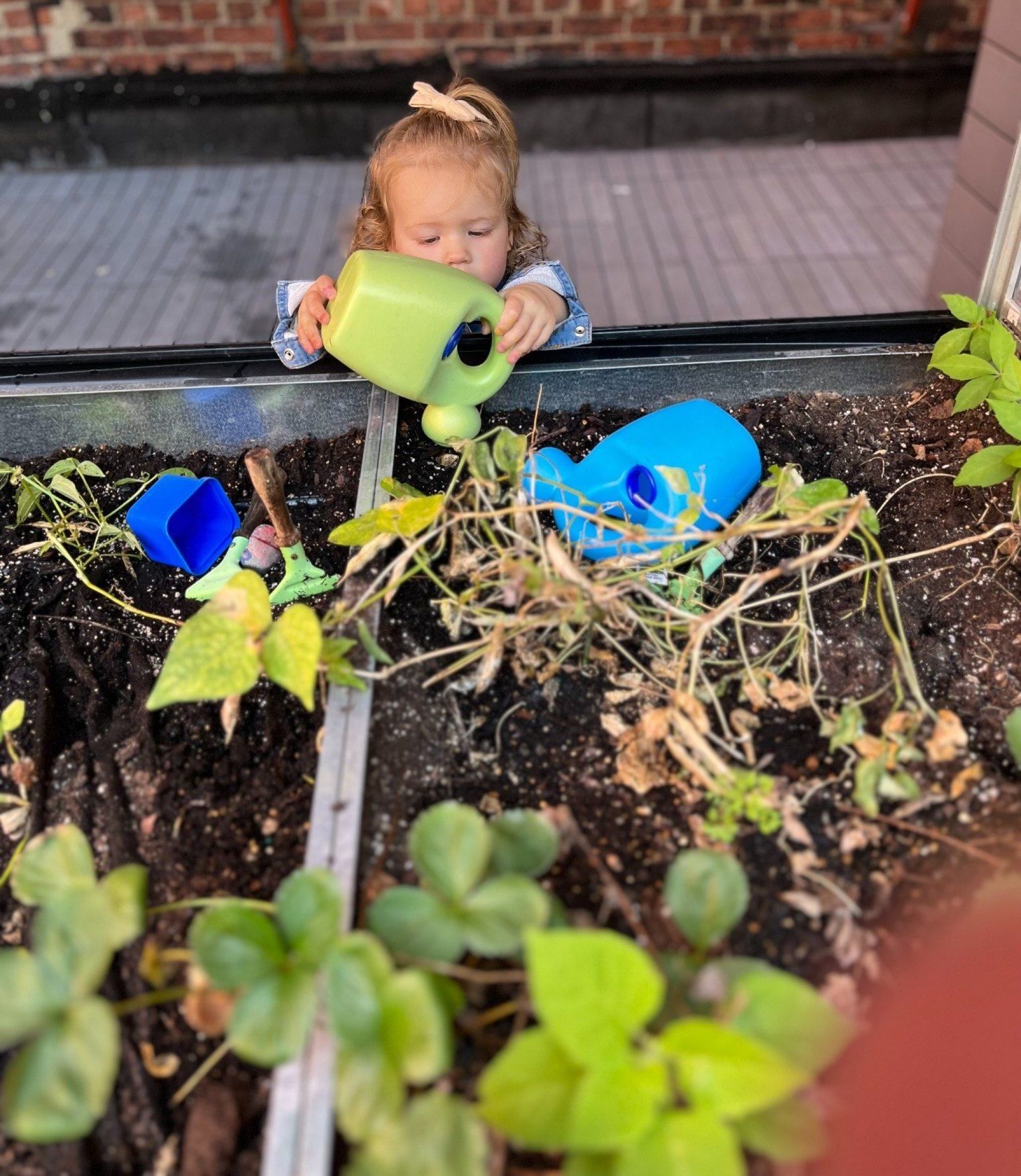 A little girl is watering plants with a green watering can