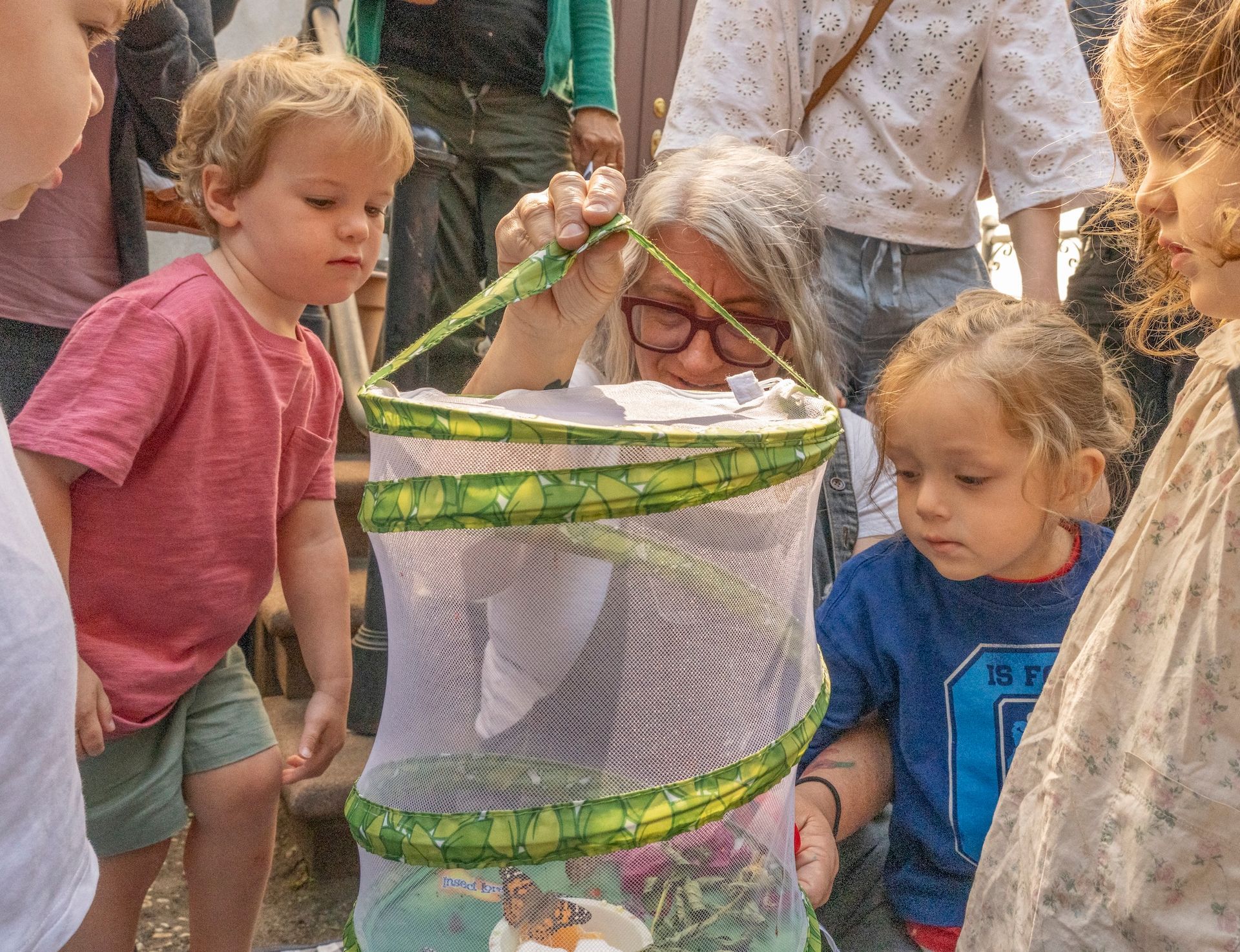 A group of children are looking at a butterfly in a net.