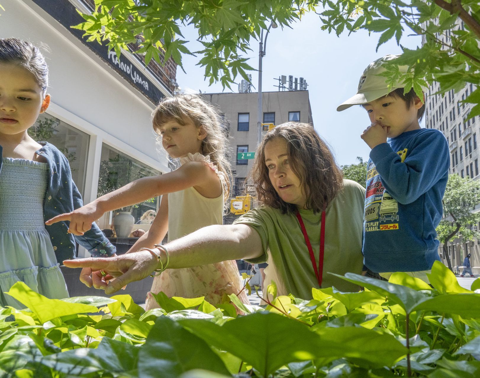 A woman is pointing at something while three children look on.