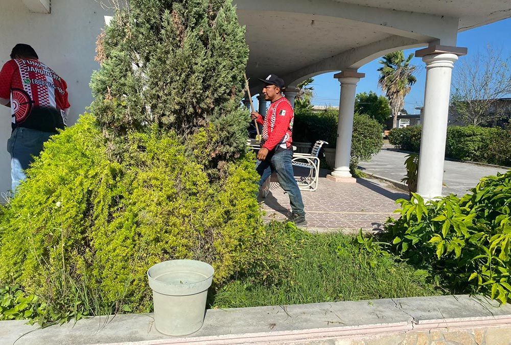 FUMIGACIONES MATAMOROS