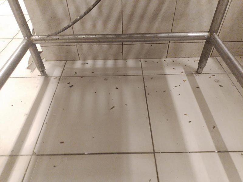 FUMIGACIONES MATAMOROS