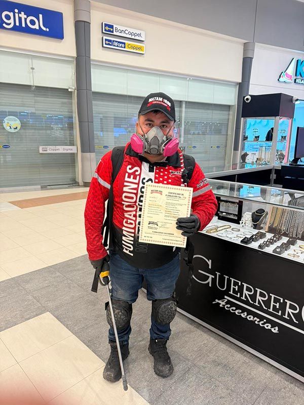 FUMIGACIONES MATAMOROS