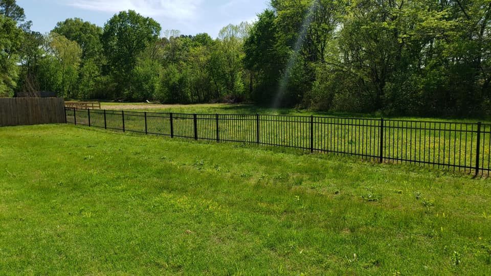 A fence surrounds a lush green field with trees in the background.