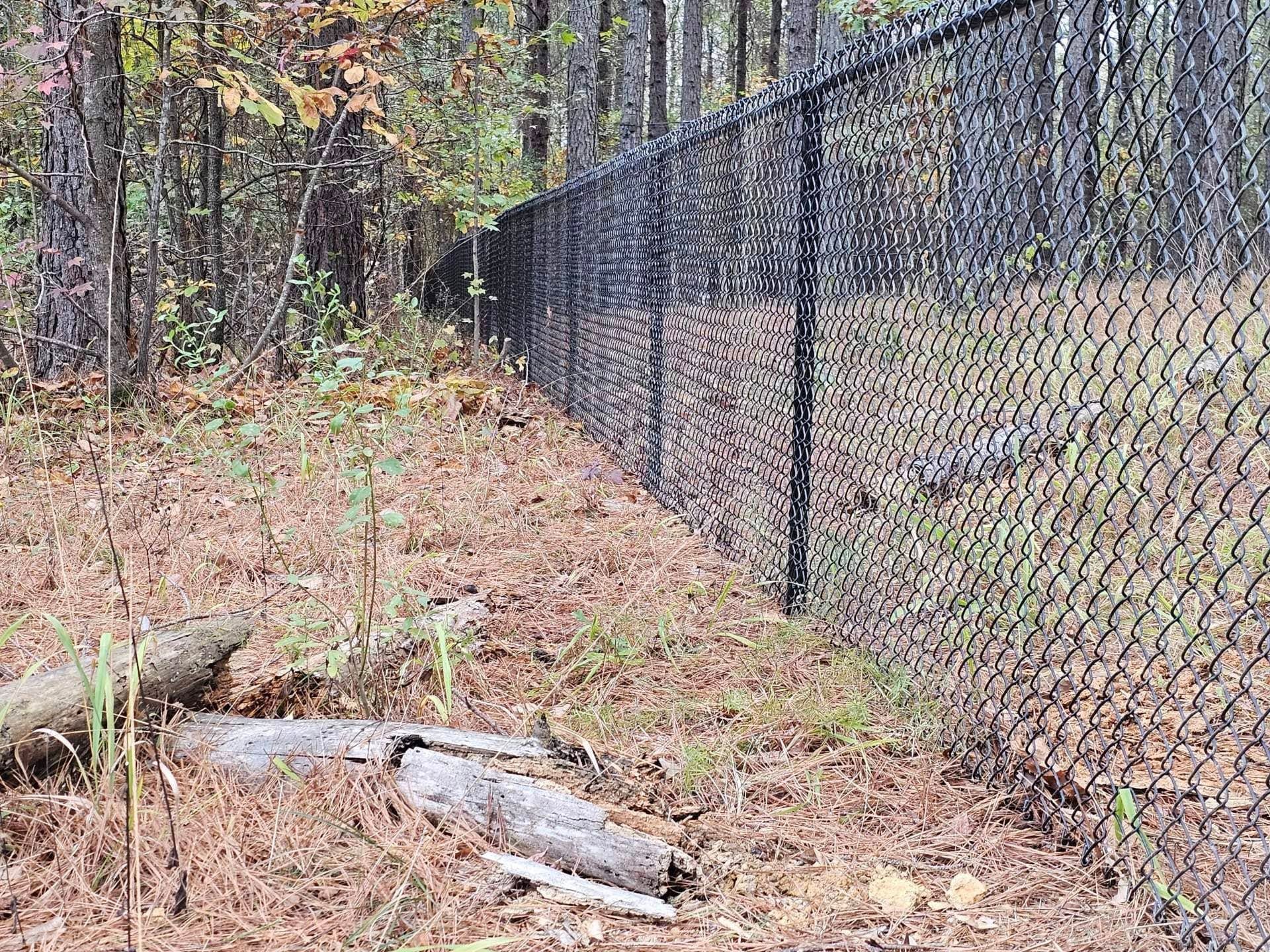 A chain link fence in the middle of a forest.