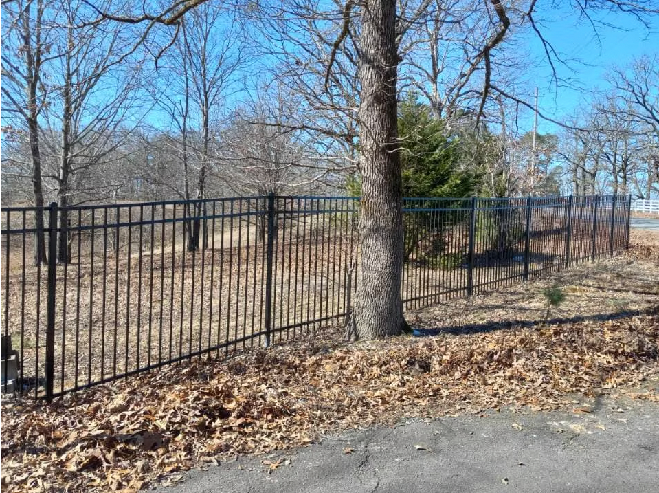 A black fence surrounds a field with trees and leaves on the ground.