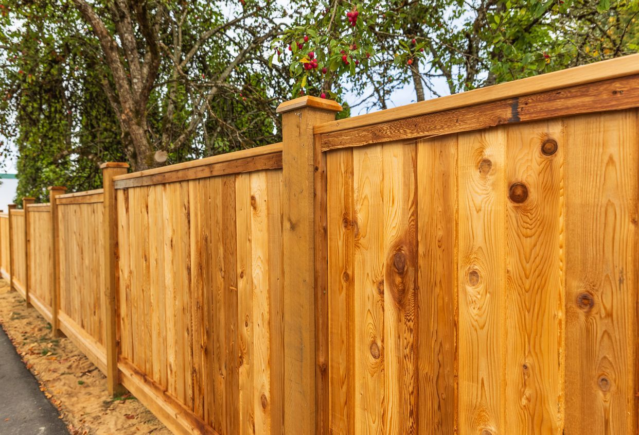 A wooden fence is surrounded by trees and a road.