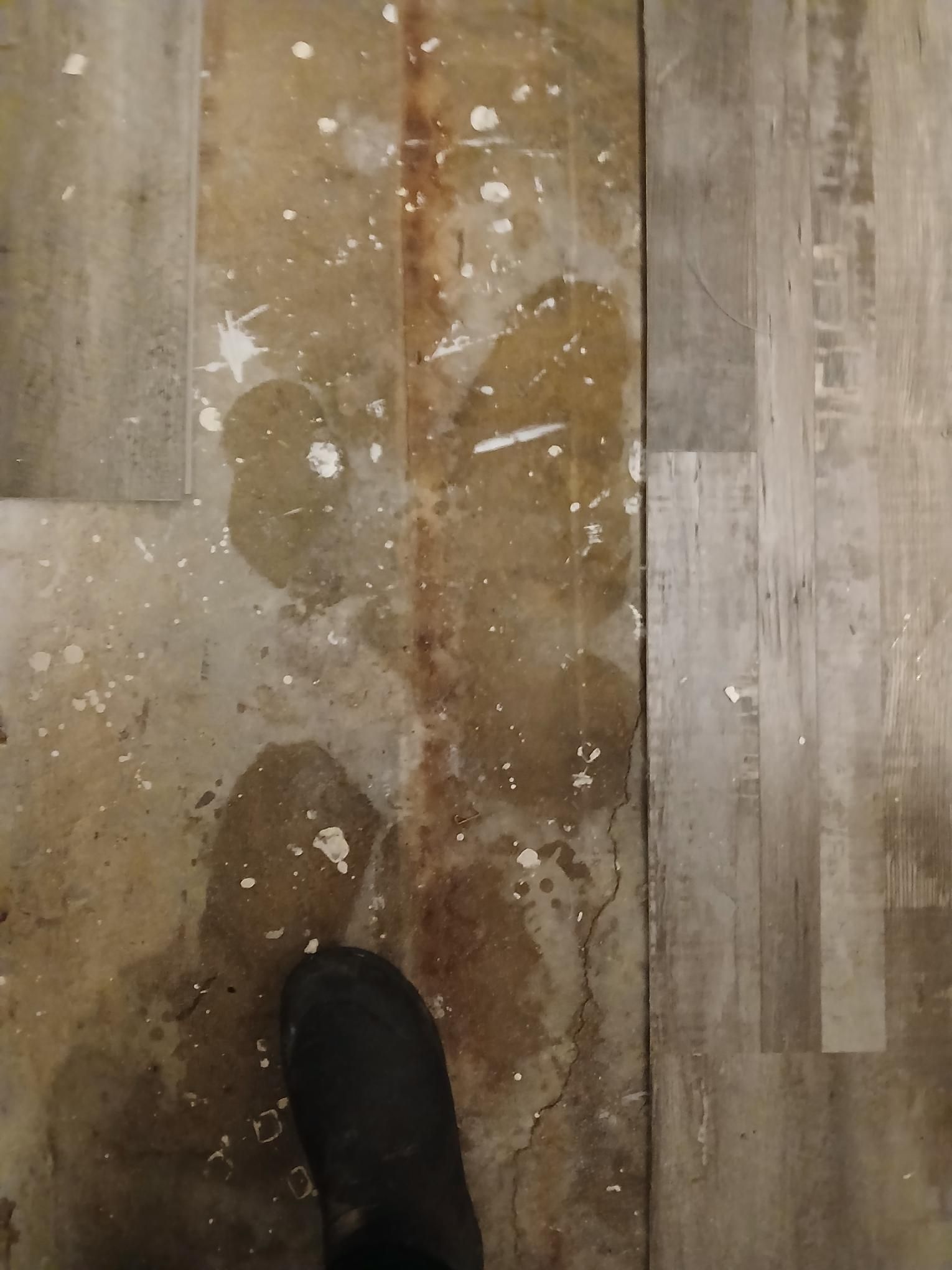 Water-damaged laminate flooring with paint splatters; a black boot is visible.