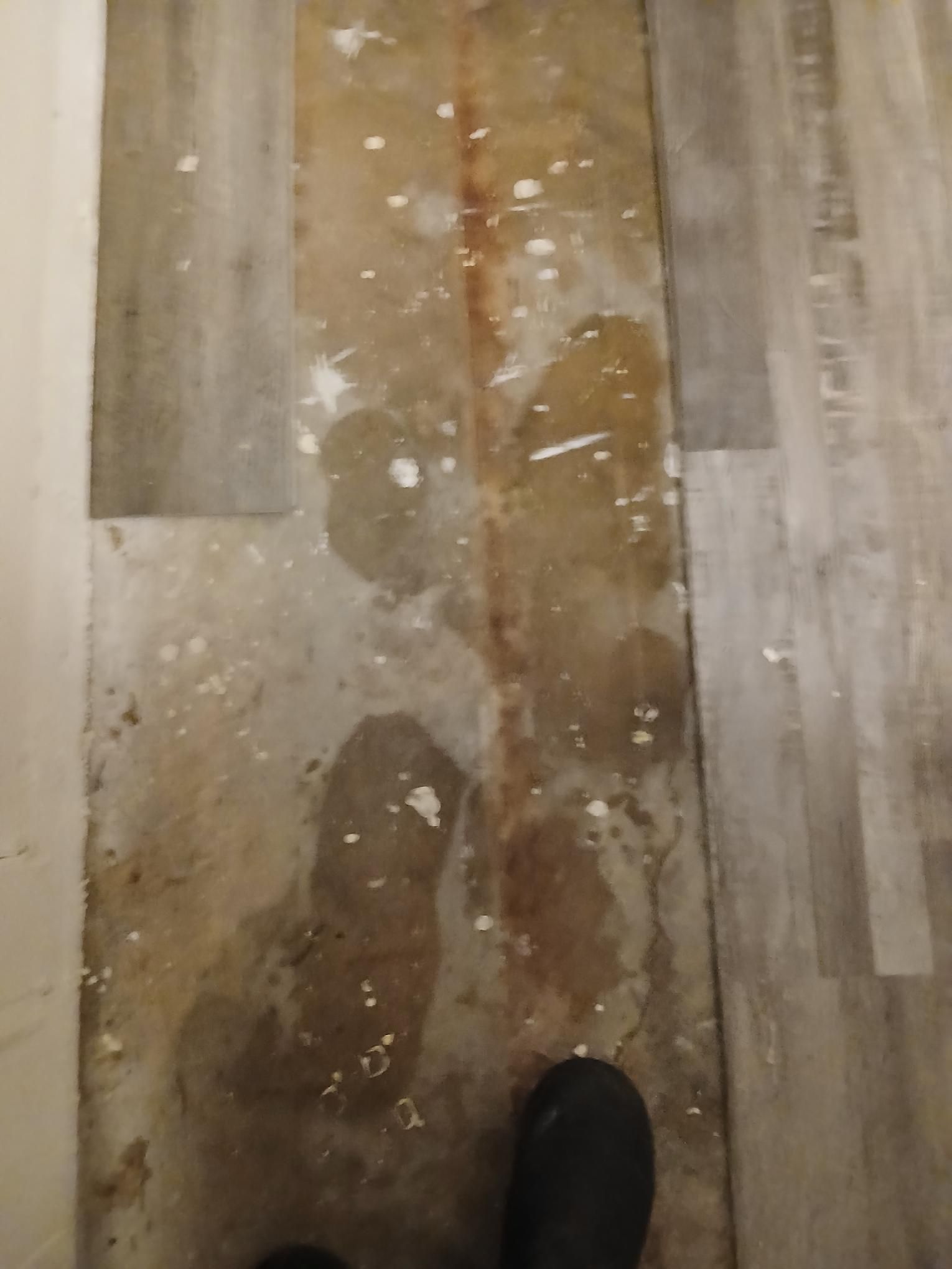 Water damaged, light-colored wood floor with stains and discoloration. A dark shoe is visible at the bottom.