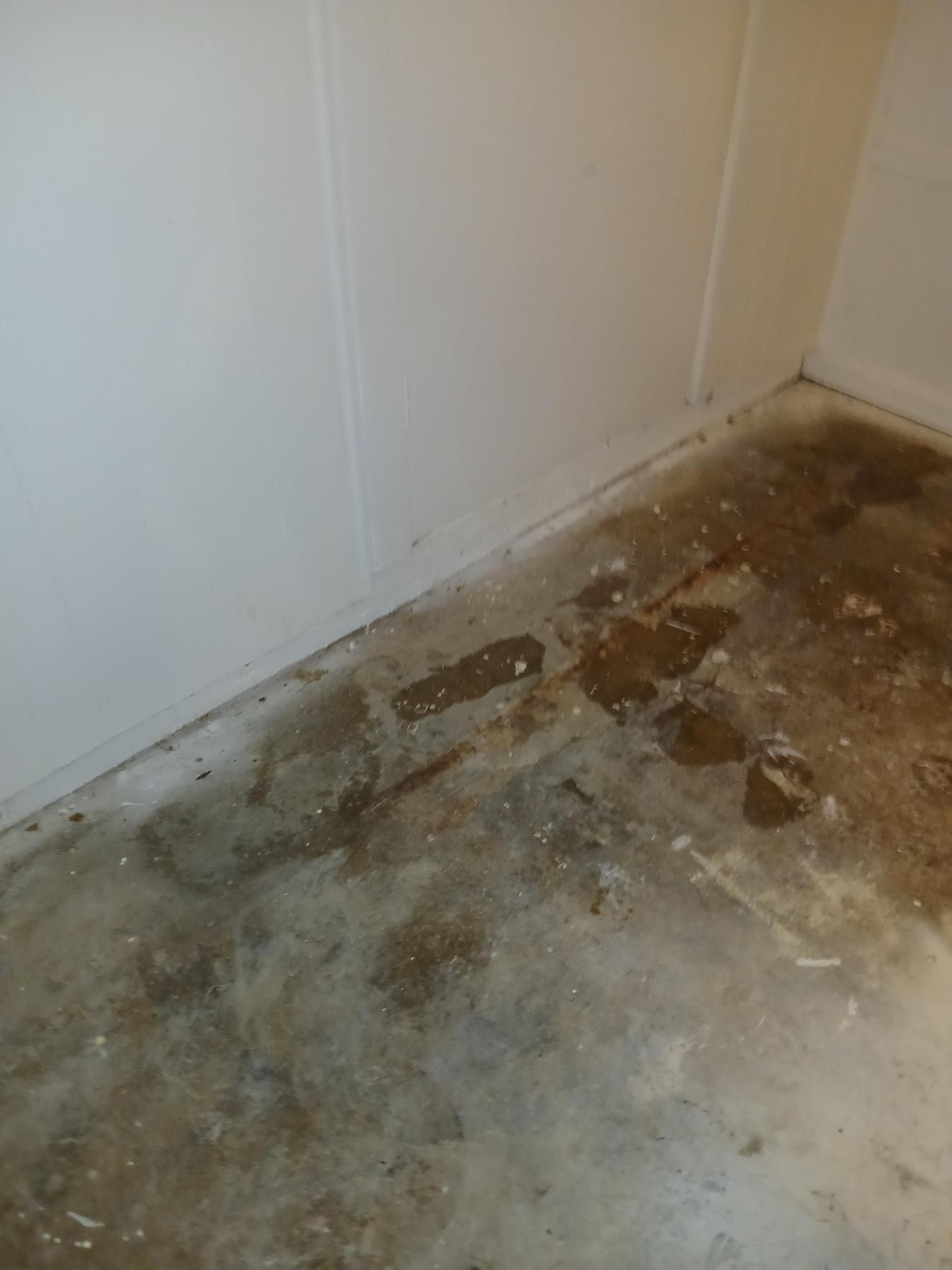 Corner of a room with stained concrete floor and white walls; possible water damage present.