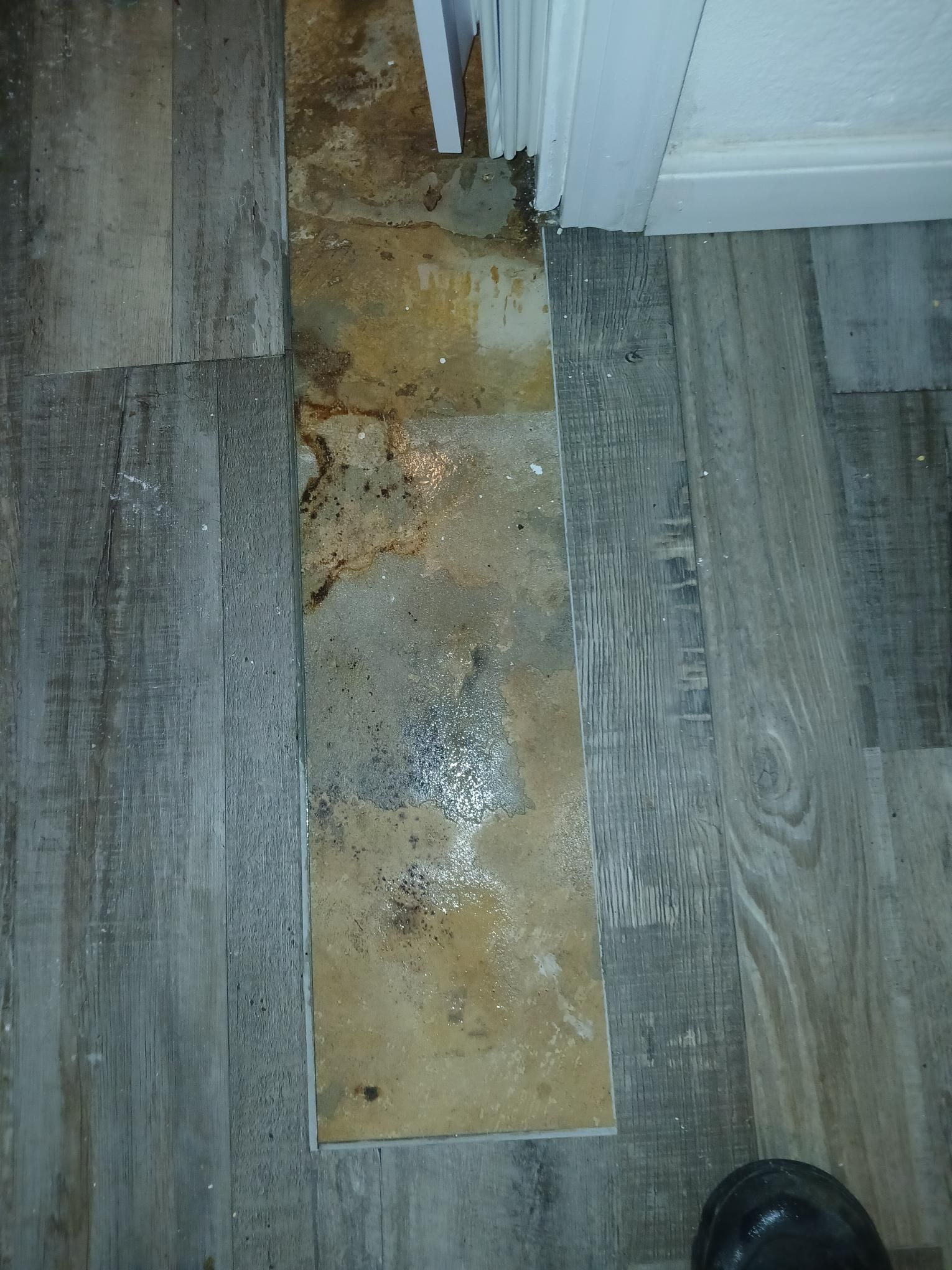 Damaged floorboards next to a white door frame. Gray flooring and exposed, deteriorated wood.