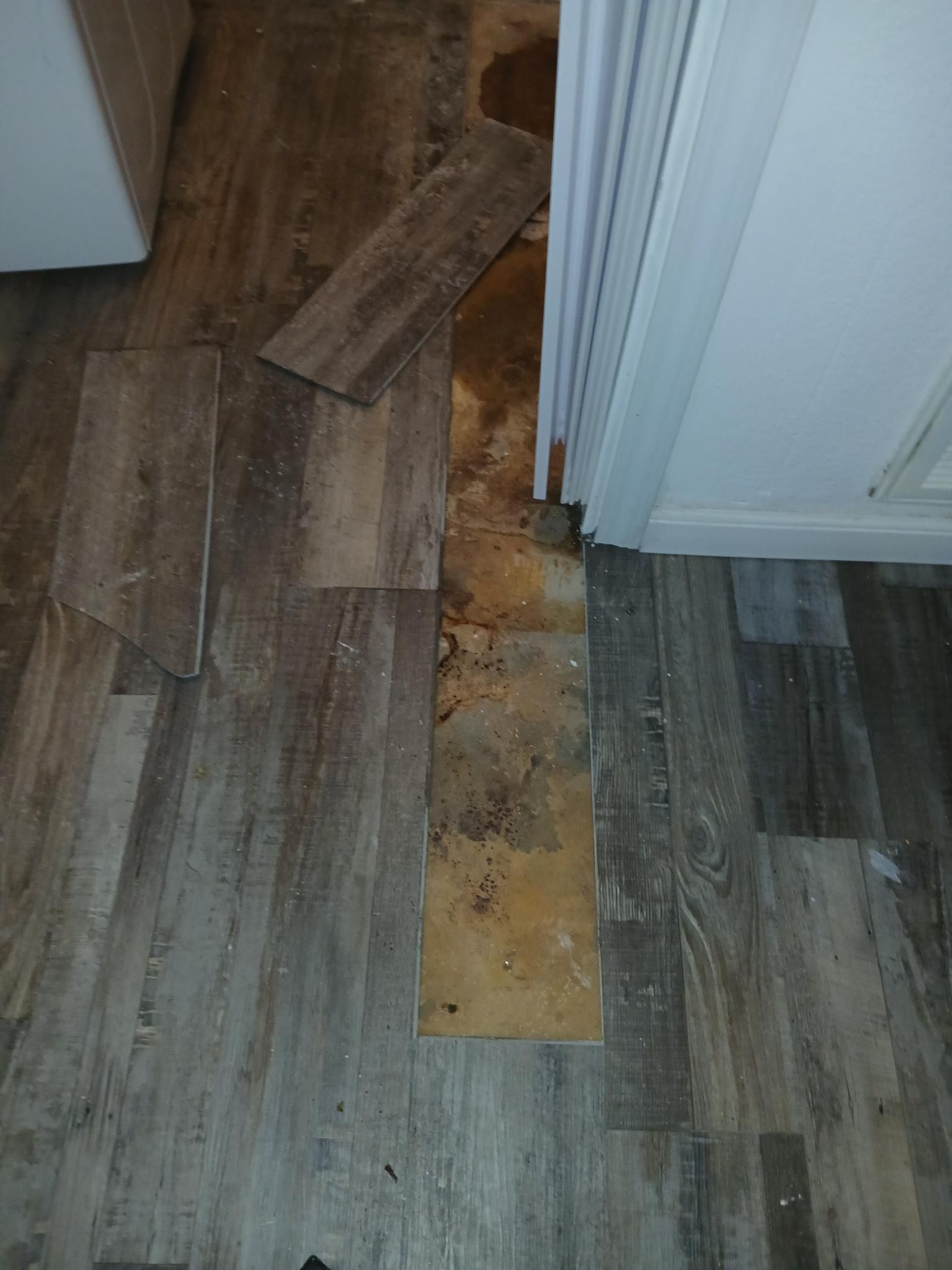 Damaged flooring near a doorway with detached planks, revealing discolored subfloor.