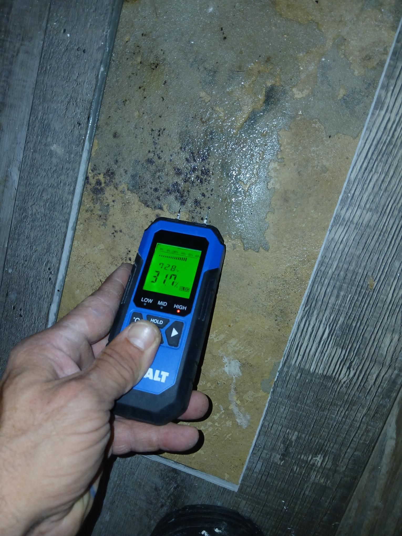 Hand holding a moisture meter over a stained floor tile with a reading of 31.7.