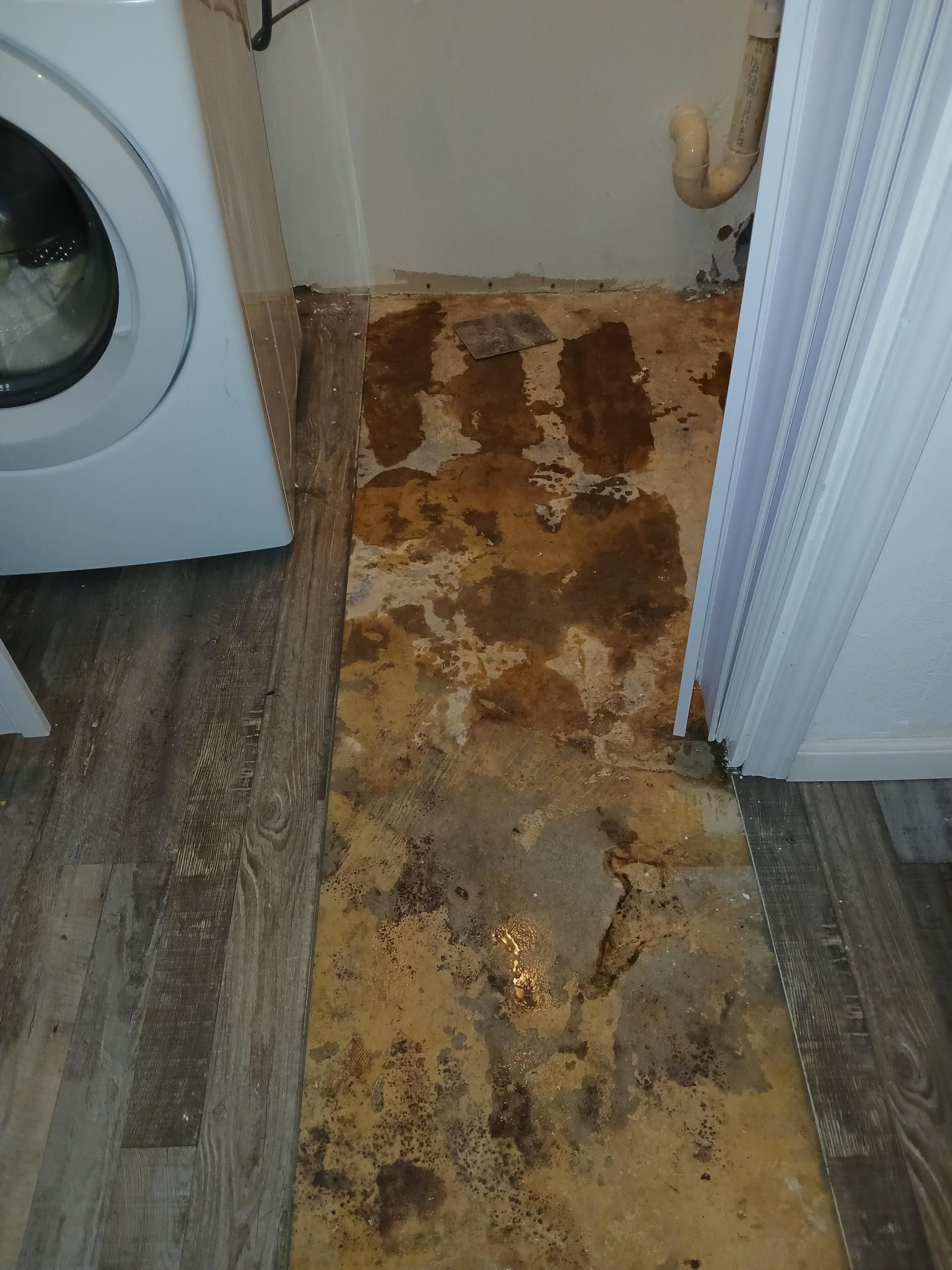 Laundry room floor with water damage and discolored patches, next to a washing machine and doorway.