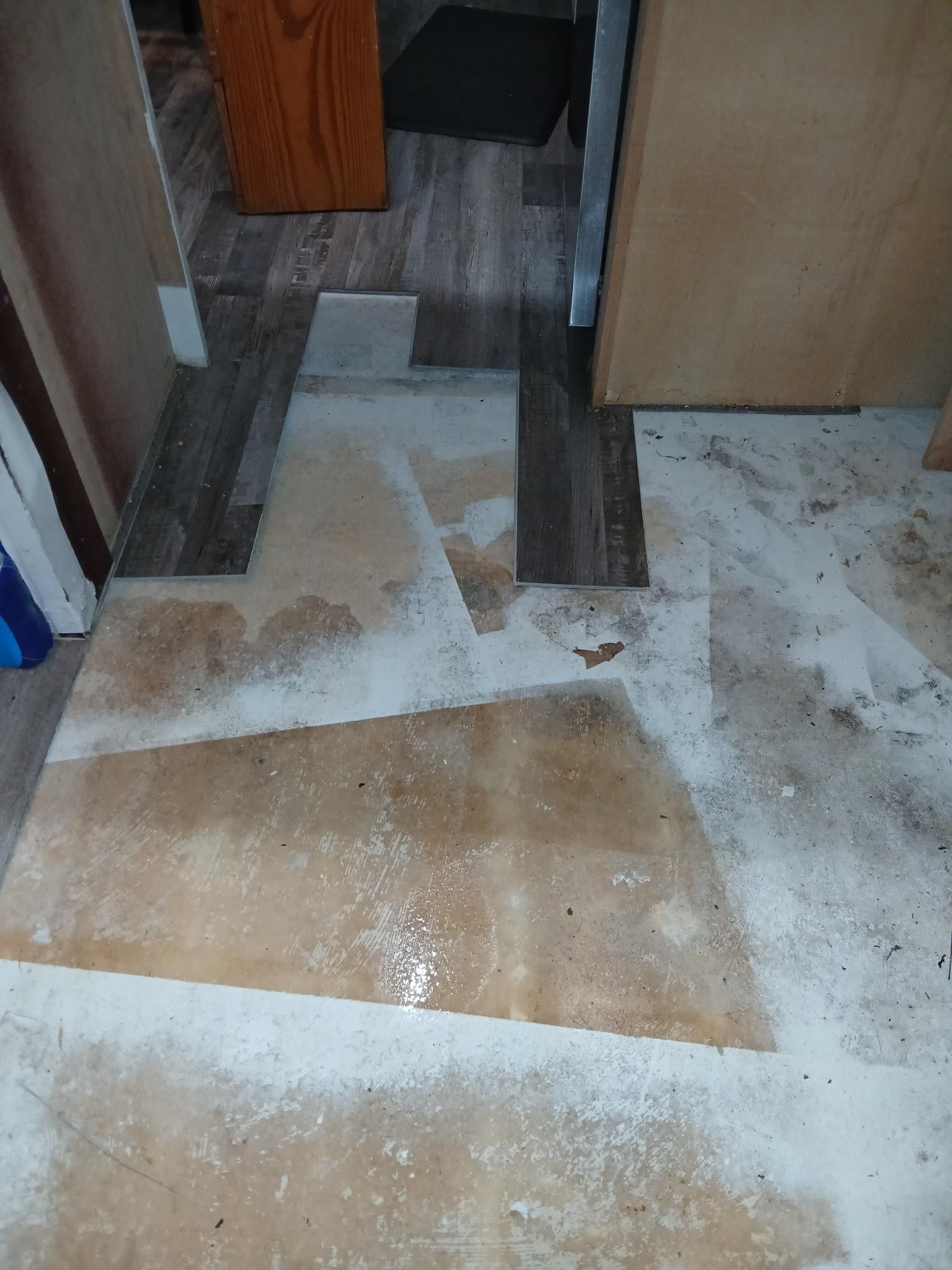 Damaged flooring with missing sections and debris. Entryway, mixed wood and pale floor panels, white dust.