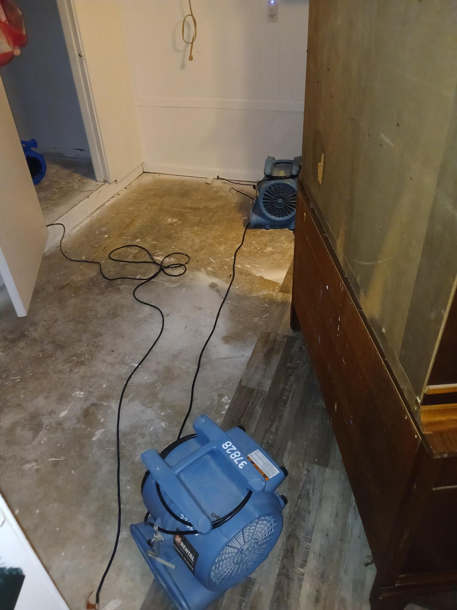 Two blue air movers on floor in a room. Cables run to the appliances. White walls, concrete floor, and wood furniture.