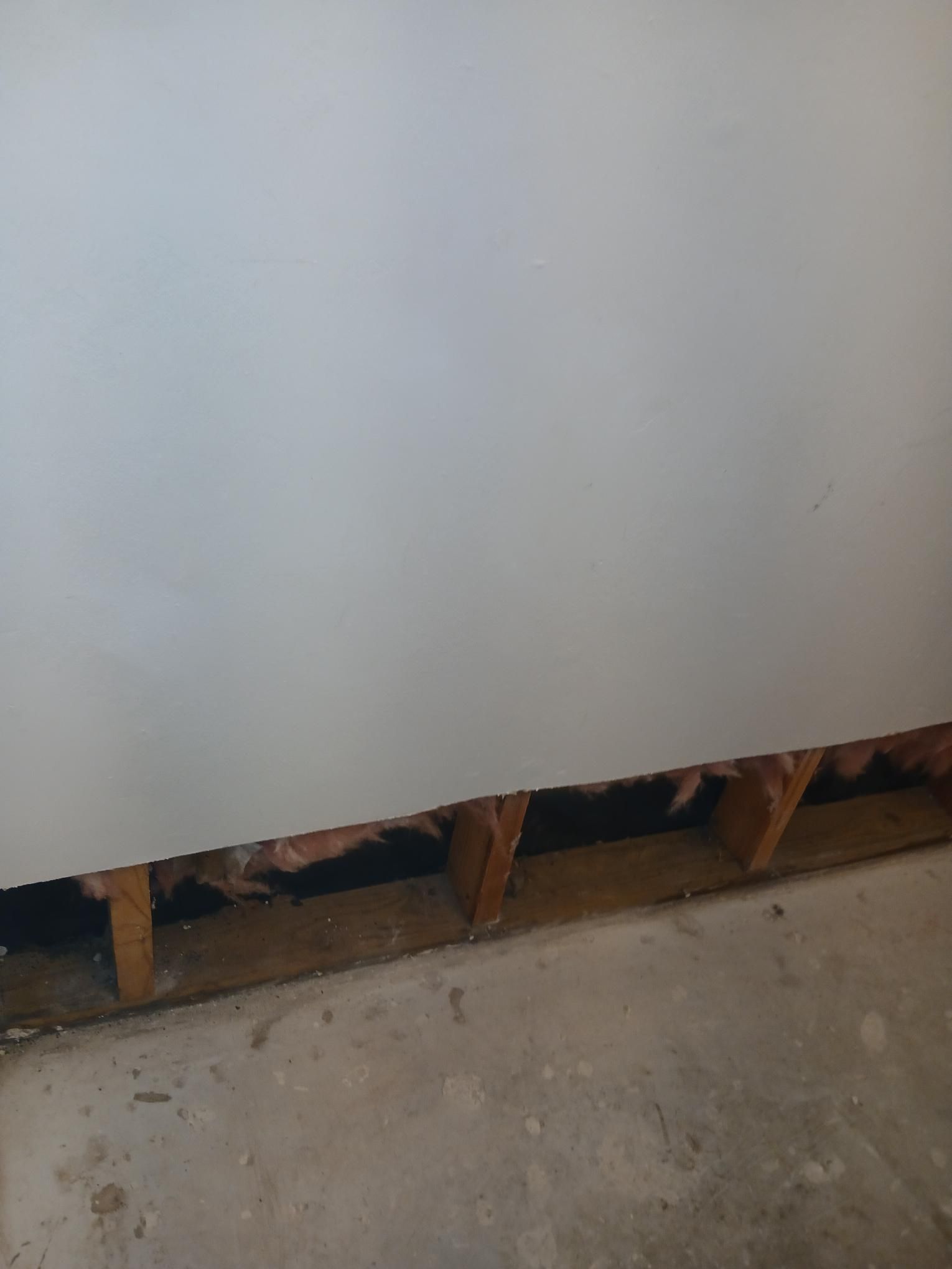 Wall with exposed wood framing, insulation, and concrete floor.