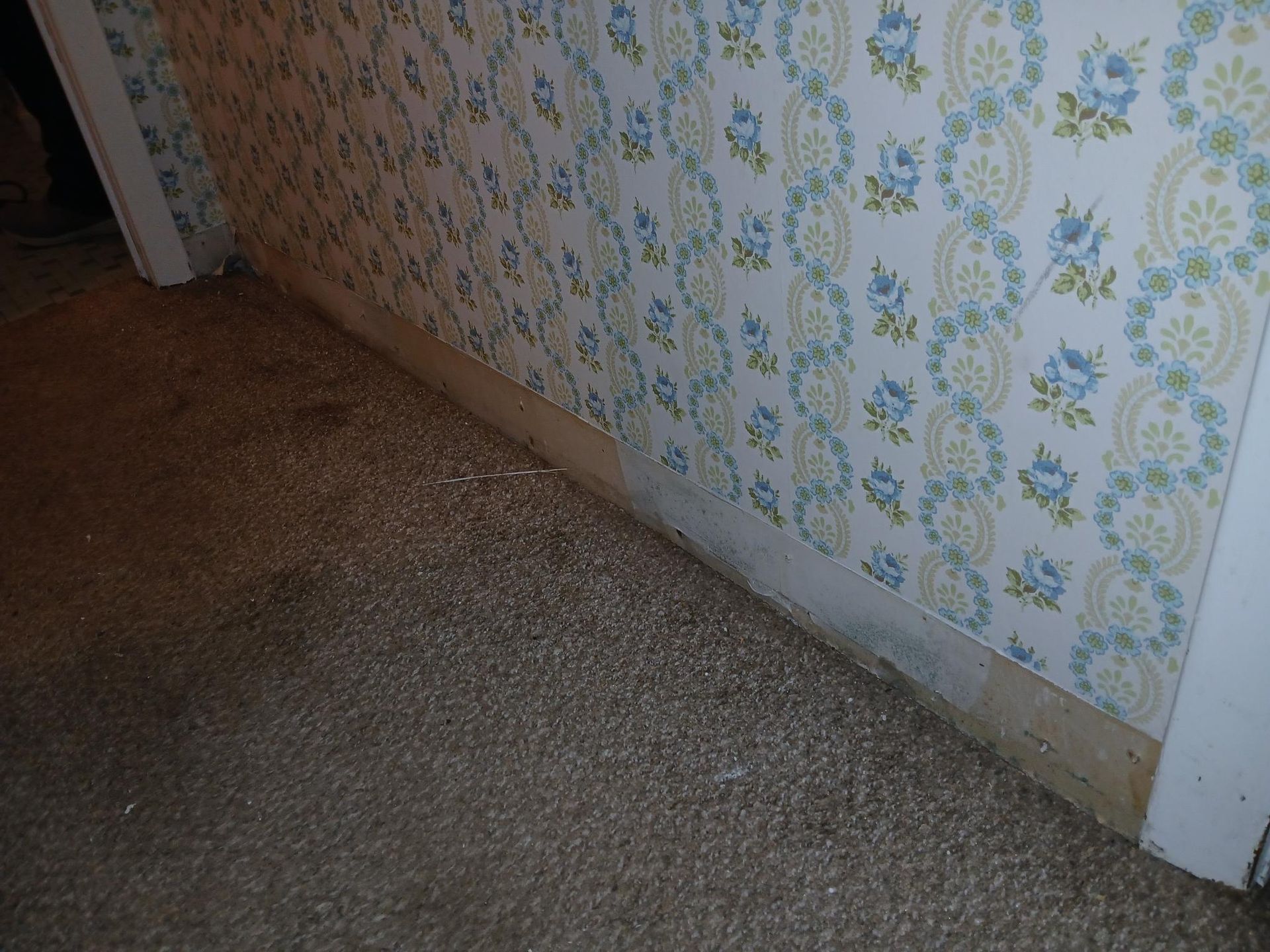 Carpeted floor, patterned wallpaper, and exposed wall baseboards in a hallway.