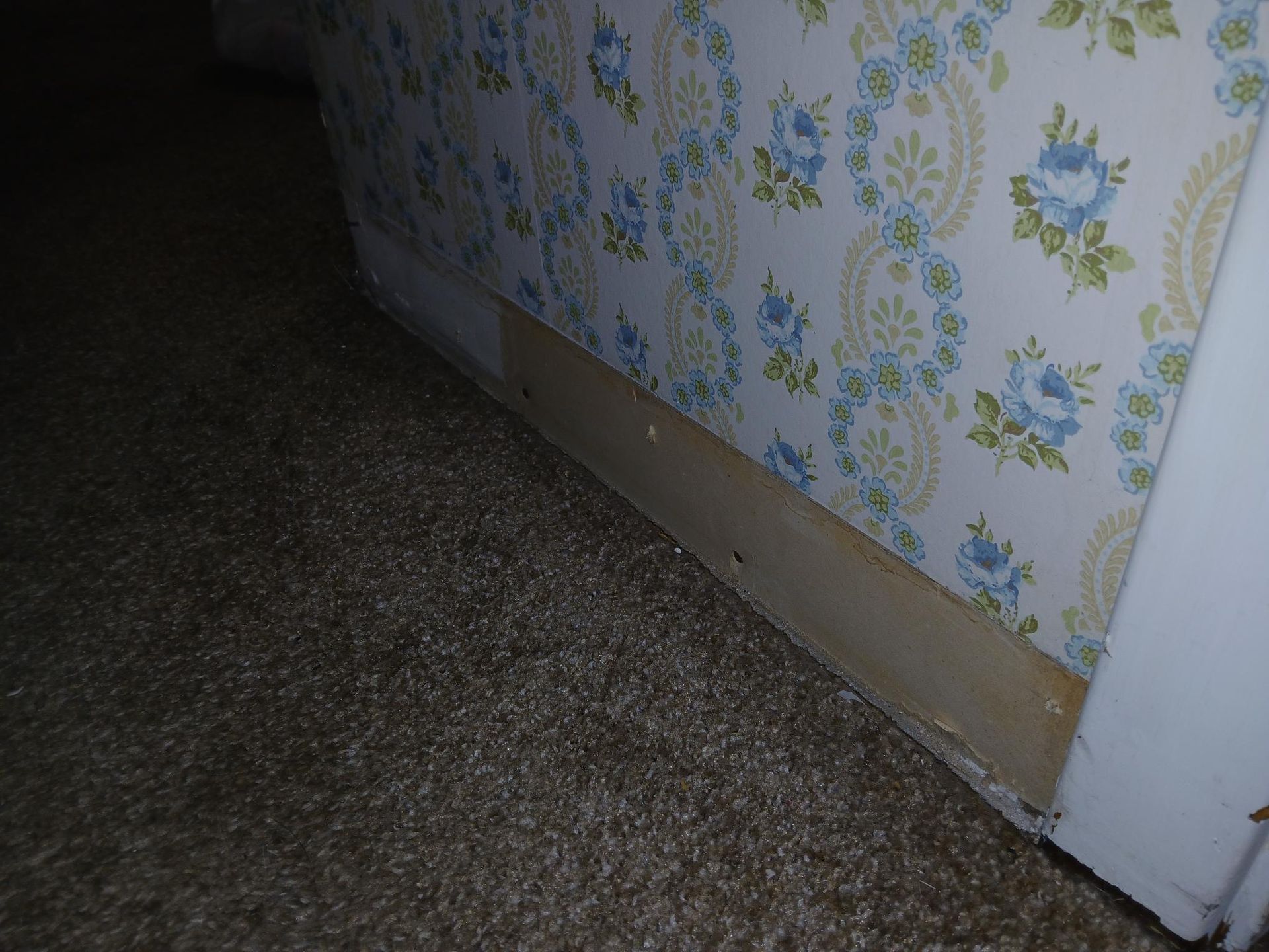 A low angle view of a floral wallpapered wall with a wooden strip along the bottom and carpeted floor.