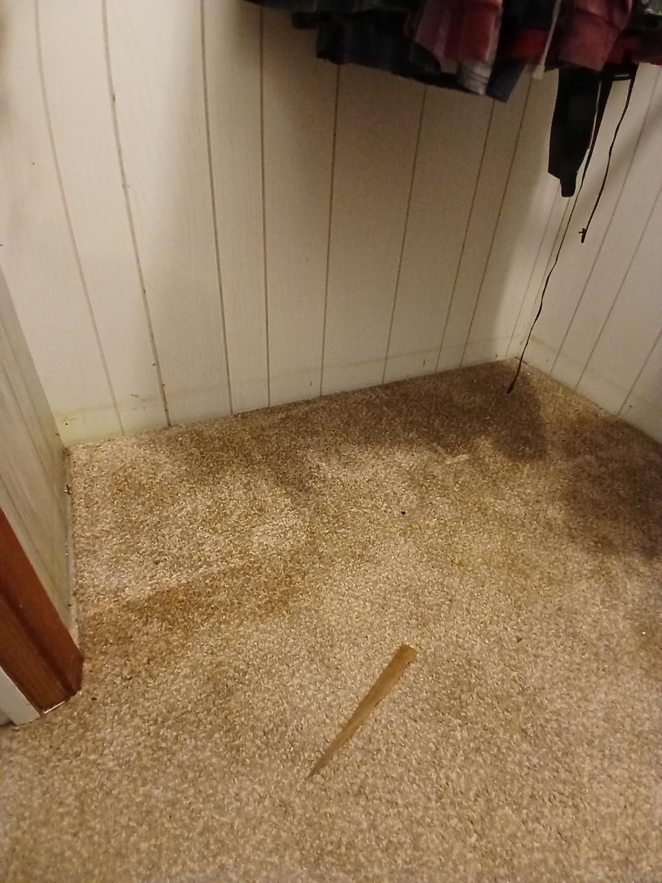 Small room with beige speckled carpet, light vertical wall panels, a wooden stick on the floor.