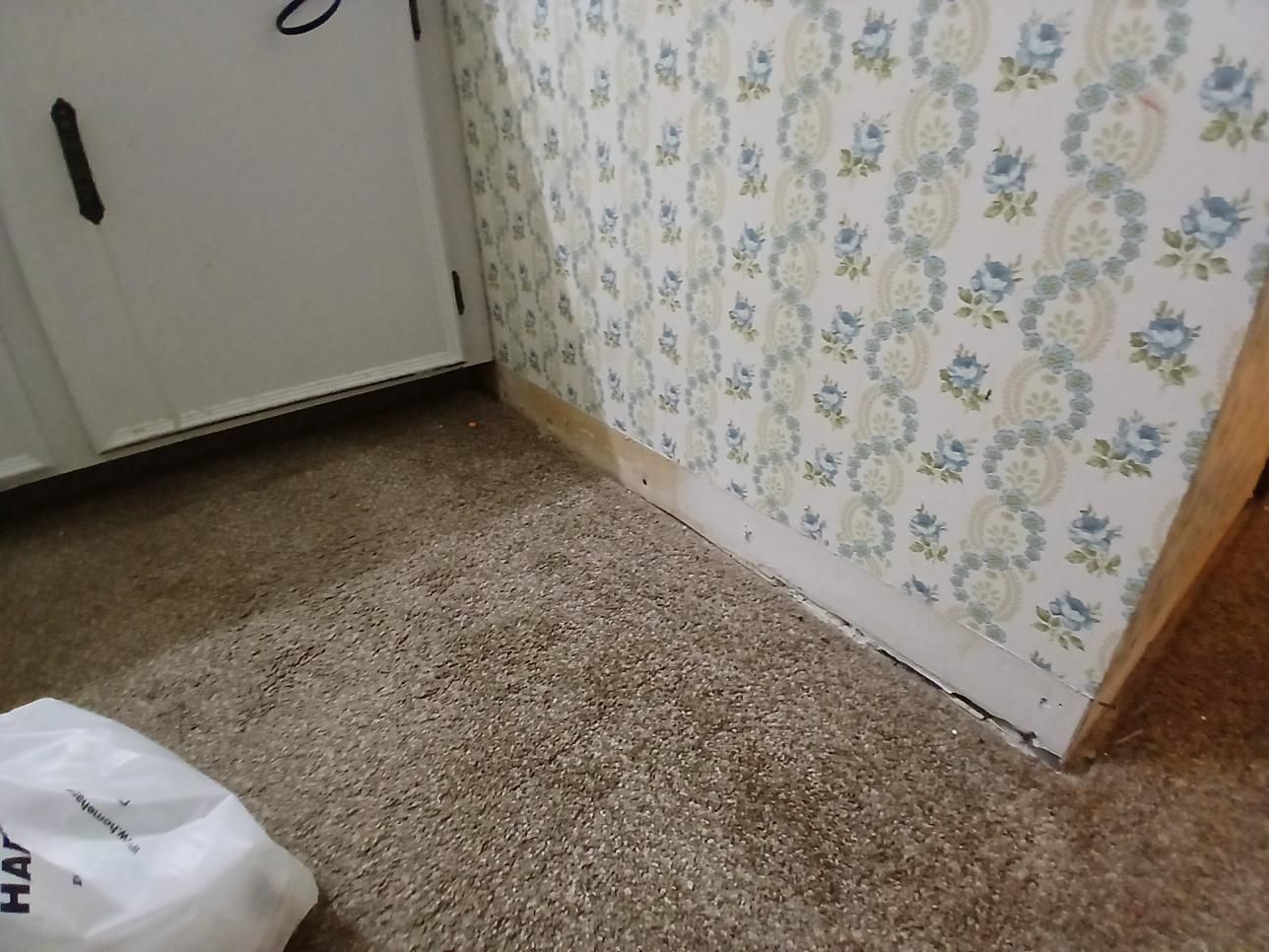 Corner of room with patterned wallpaper, beige carpet, and white cabinetry.