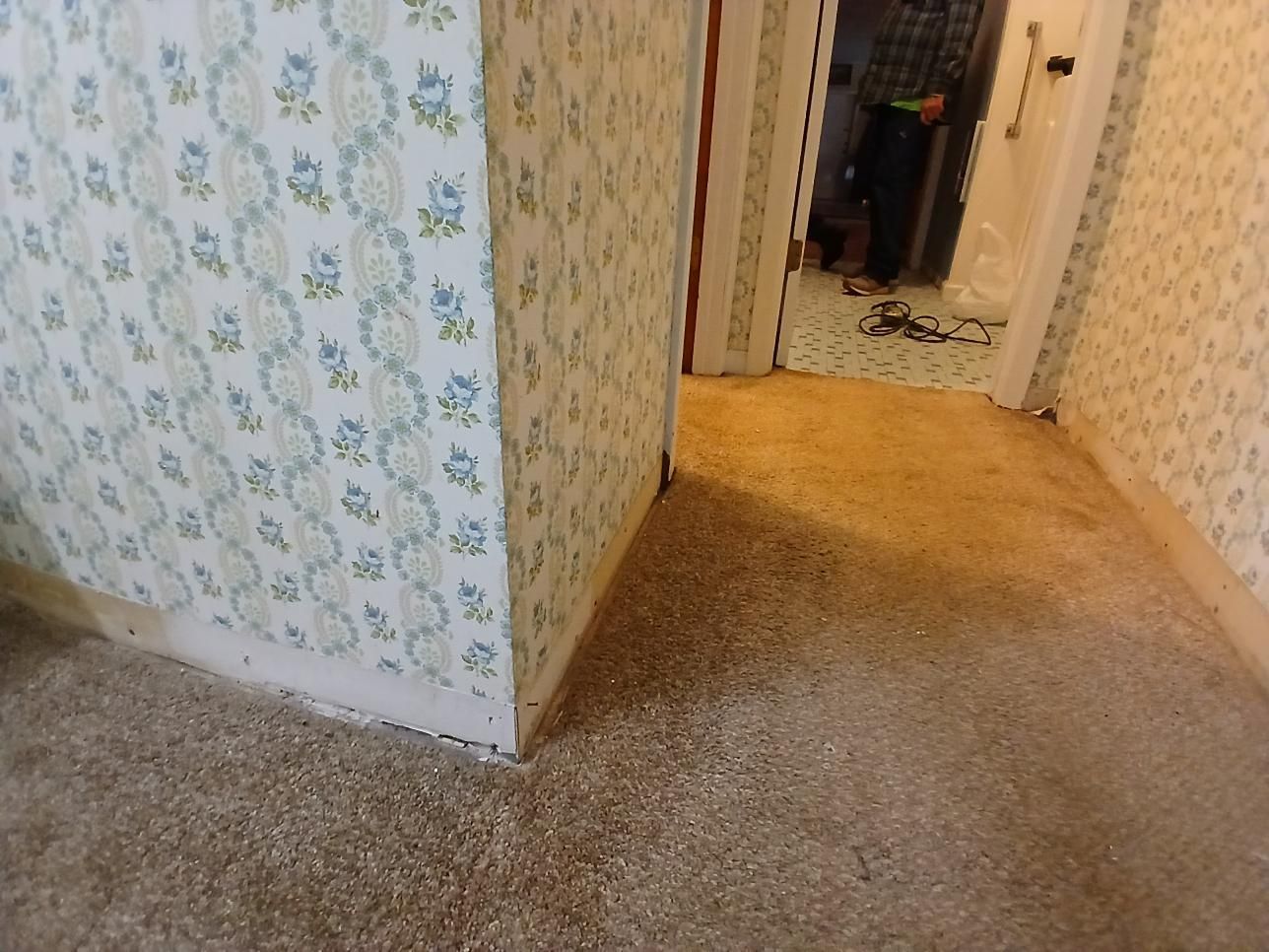 Hallway with patterned wallpaper, stained carpet, and an open doorway; person visible in the distance.