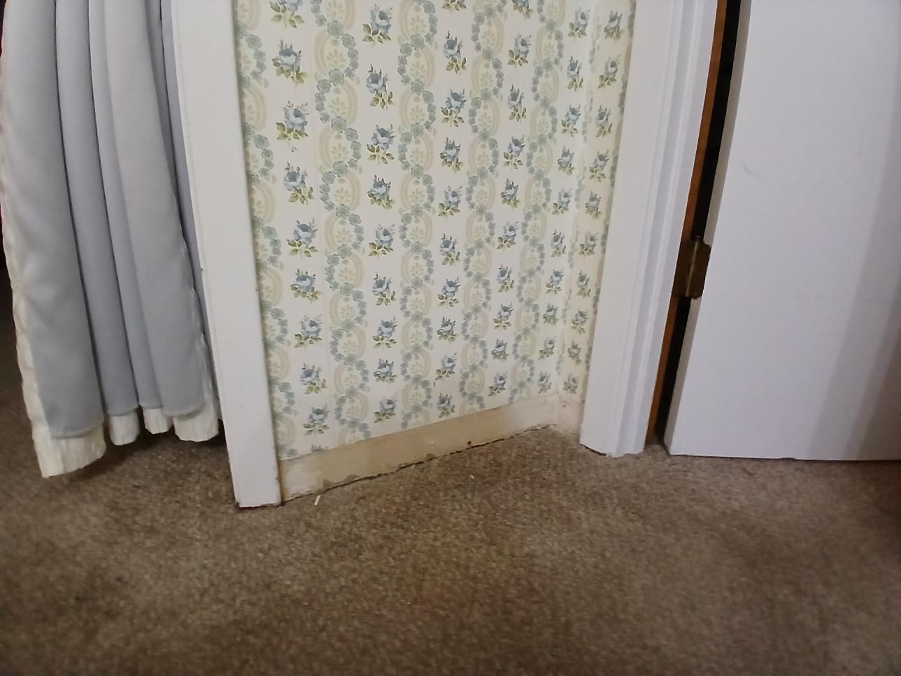A doorway with floral wallpaper, white trim, and a closed white door on a carpeted floor.
