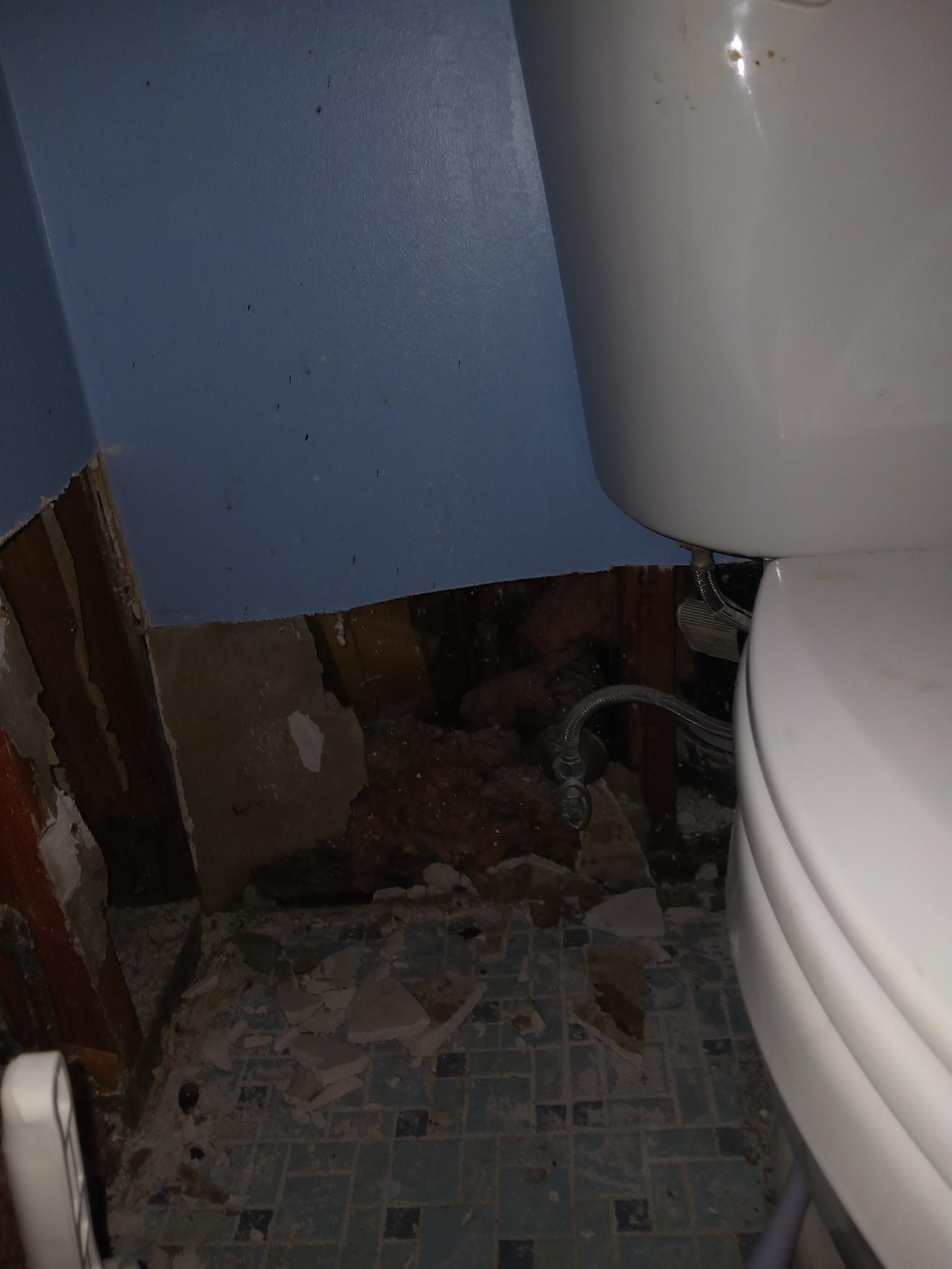 Toilet near a wall with water damage and exposed interior, showing possible mold.