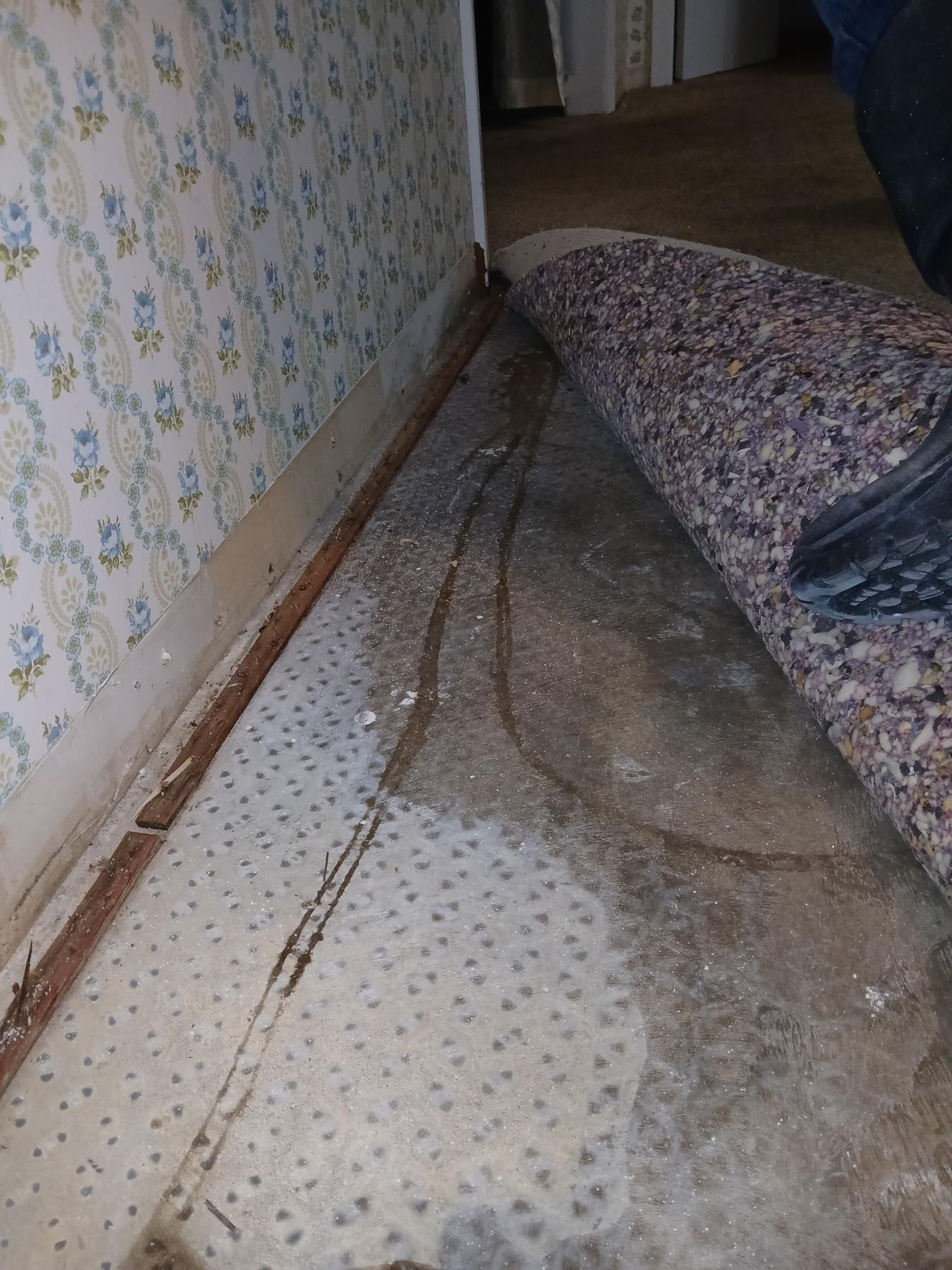 Flooded interior space; blue flooring, wet wooden planks, white walls.