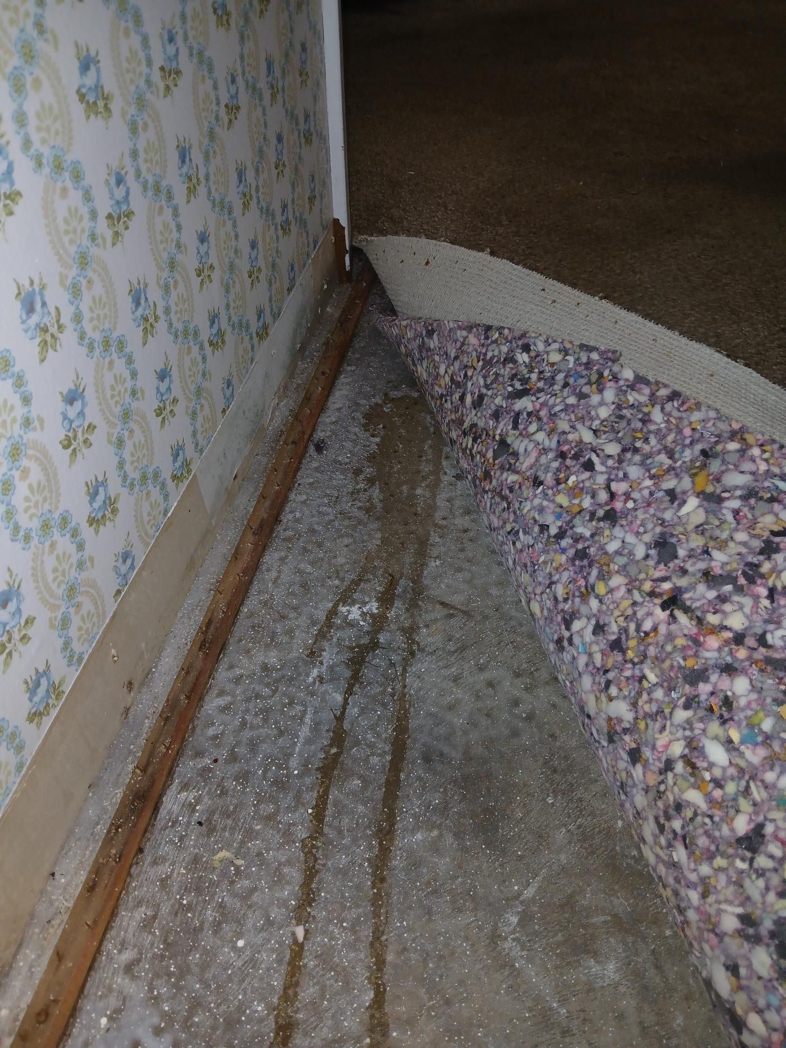 Water damage on basement floor next to wall with peeling wallpaper and rolled-up carpet.
