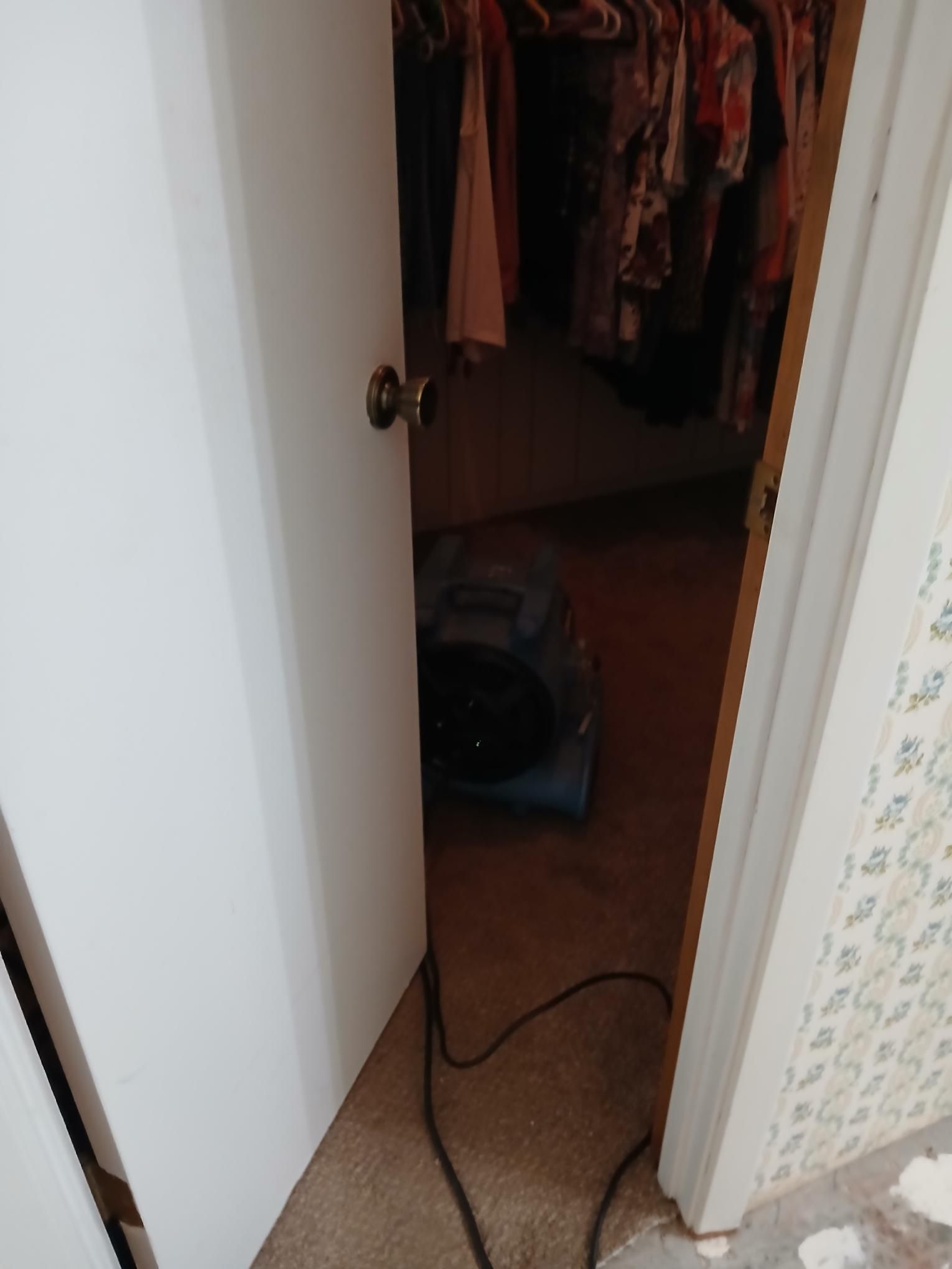 A small closet with a fan inside and a door partially open. Black power cord on the carpet.