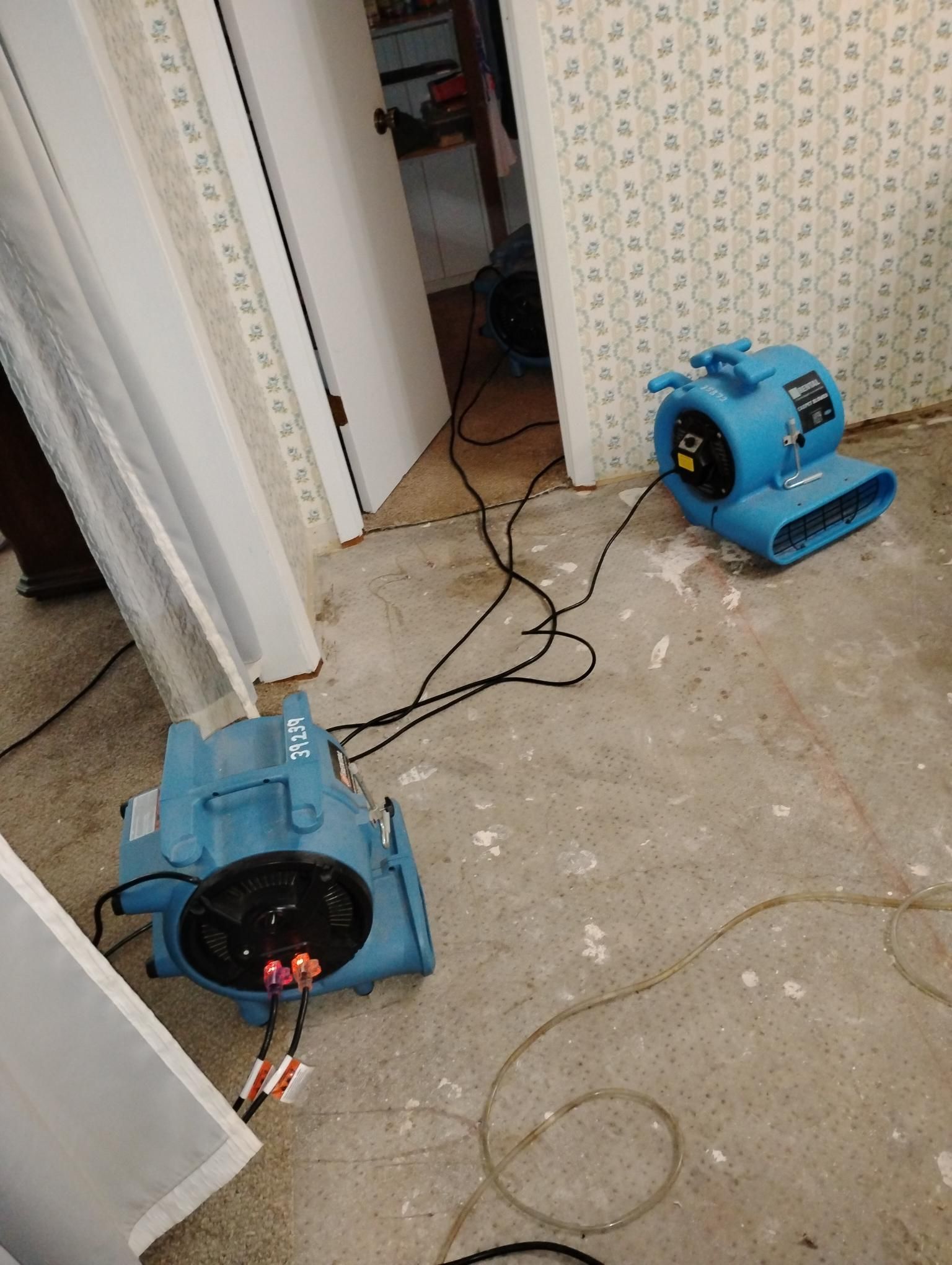 Two blue air movers on a concrete floor drying a room with peeling wallpaper.