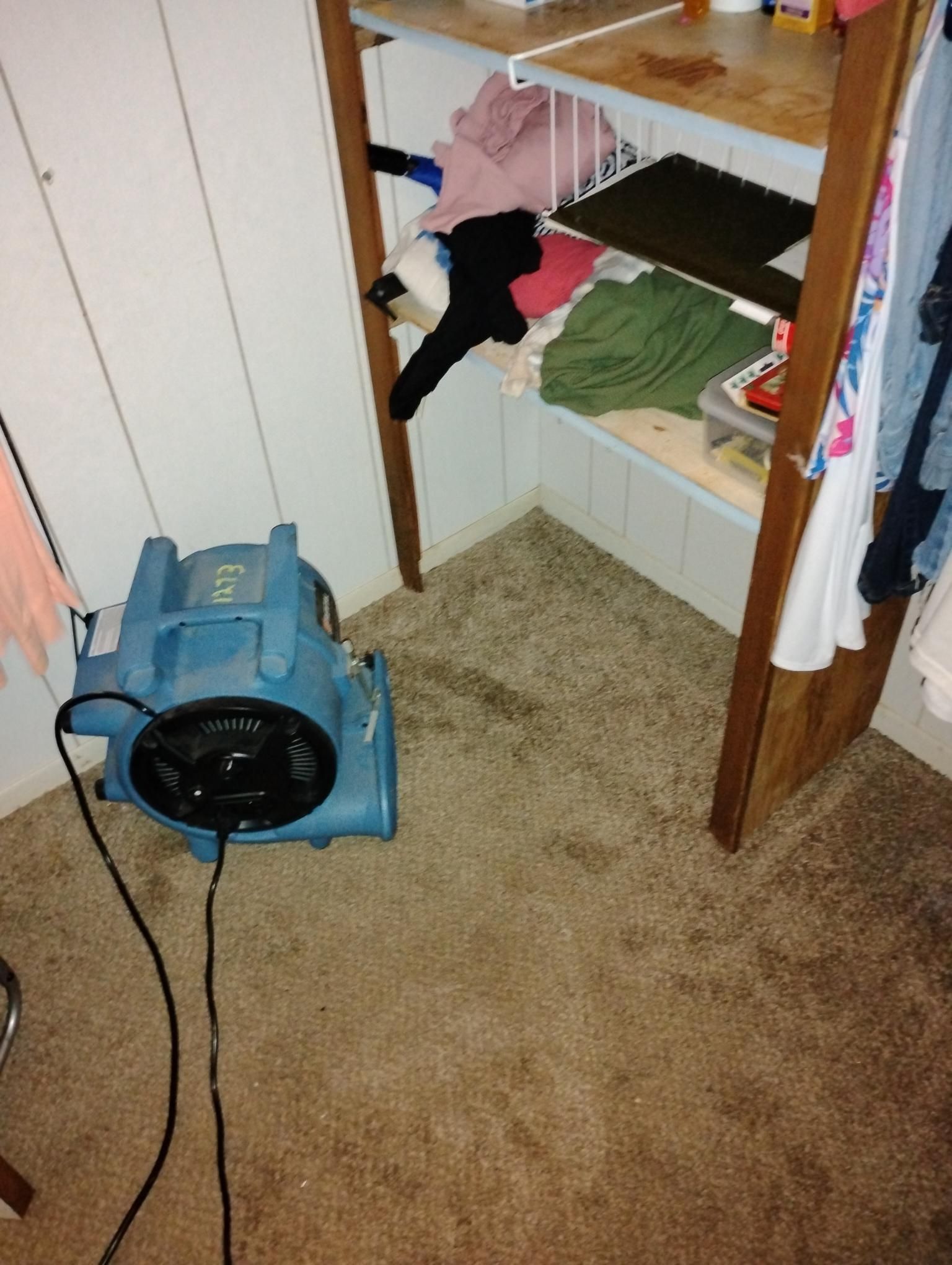 Blue fan on carpeted floor near closet with clothes. Dark stain visible.