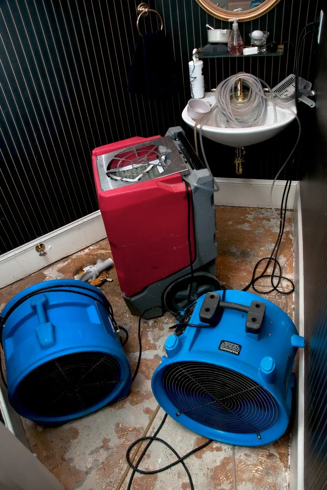 Two blue and one red industrial fans drying a wet bathroom. Dark, patterned walls.