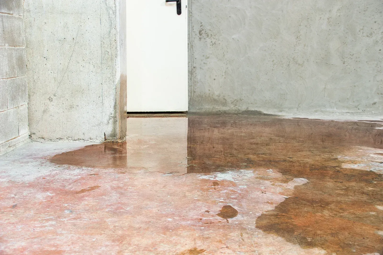 Flooded concrete basement with water near a white door, reflecting in the standing water.
