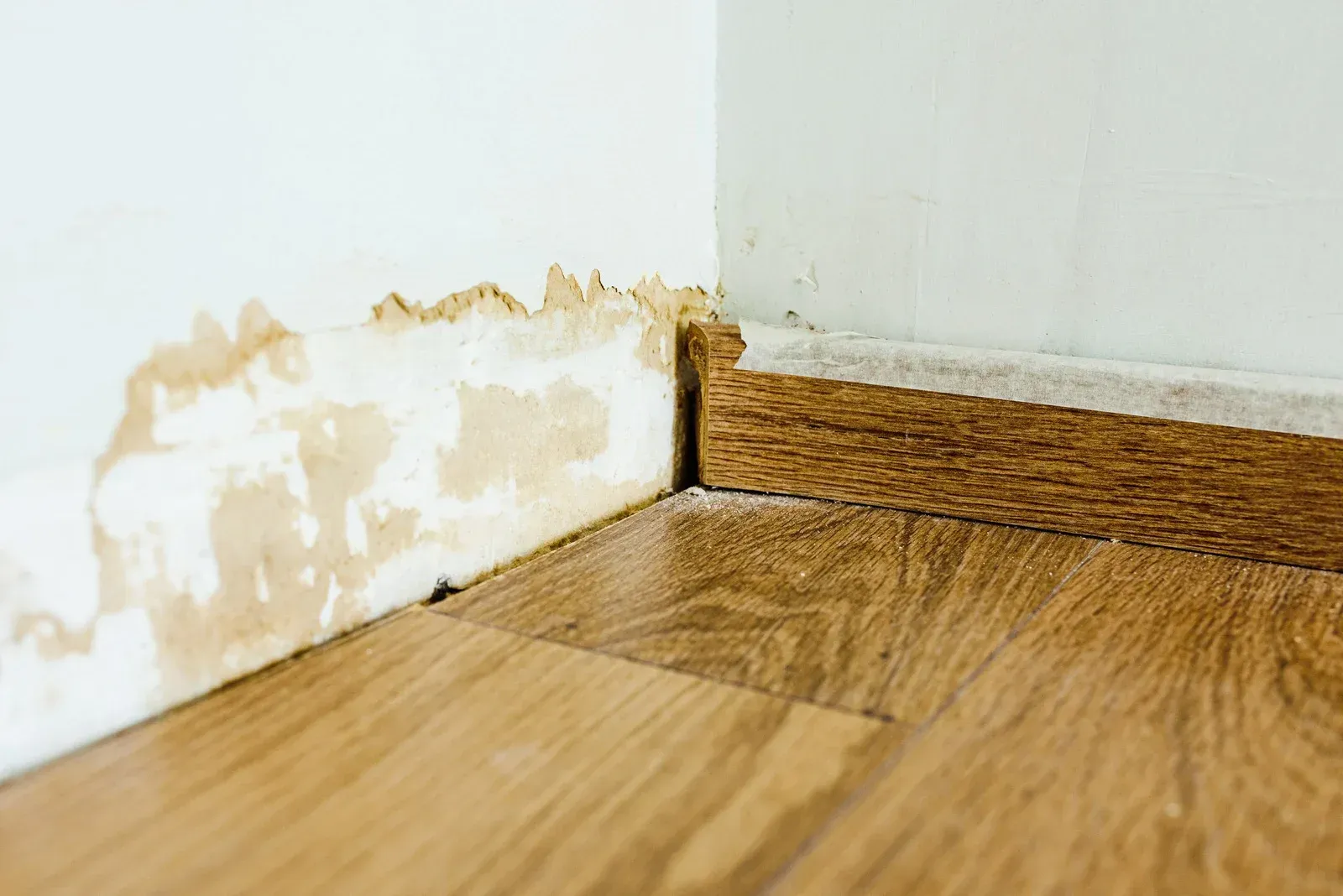 Damaged wall and baseboard corner, peeling paint, likely water damage, next to wood flooring.