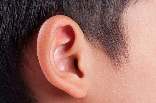 Human Ear Close Up