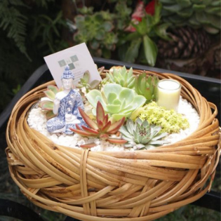 Arreglo suculento en canasta tejida, con figura de Buda, vela y tarjeta.