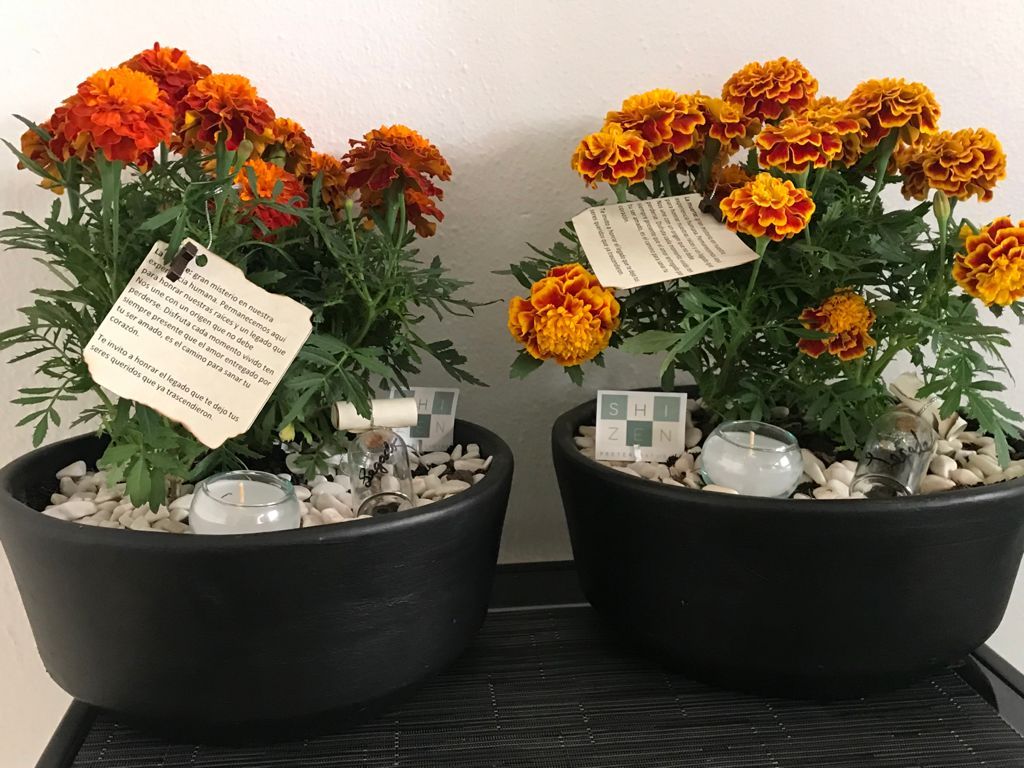 Dos macetas negras con flores de color naranja, piedras blancas, velas y tarjetas en un estante.