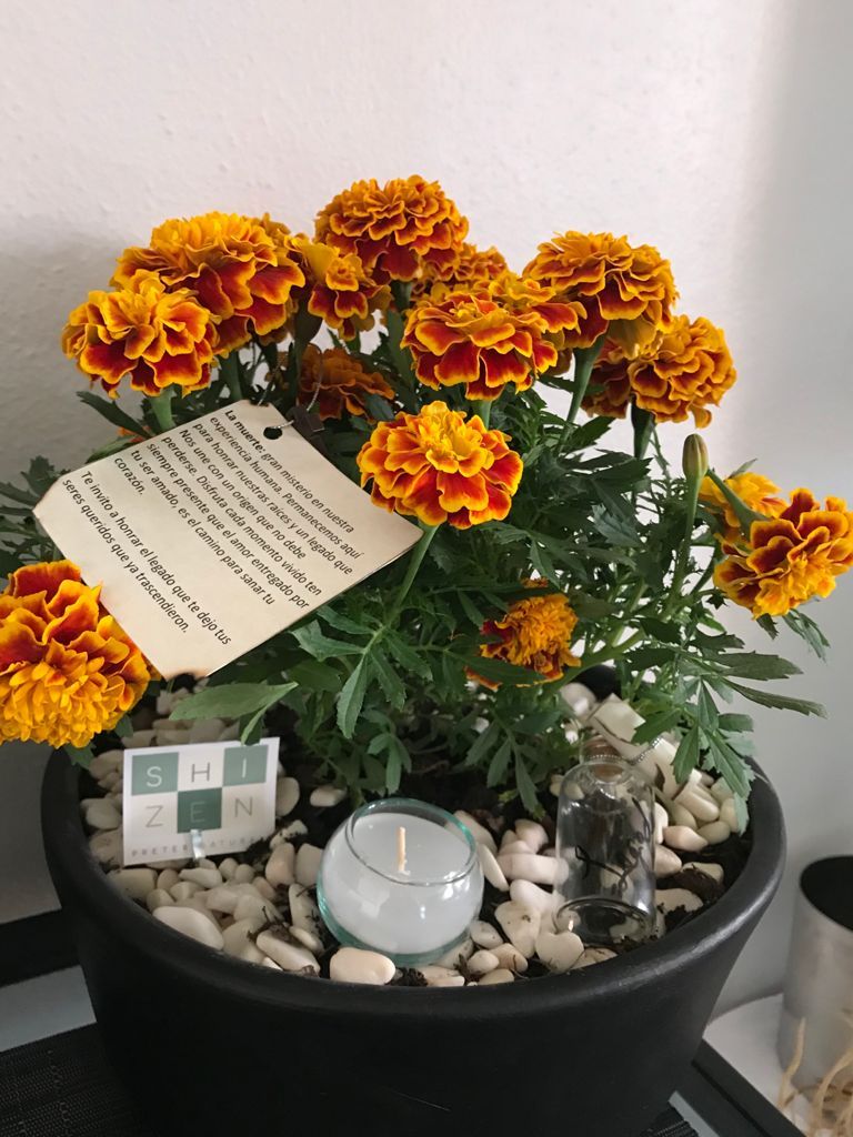 Caléndulas con flores naranjas y amarillas en una maceta negra con piedras decorativas y una vela.